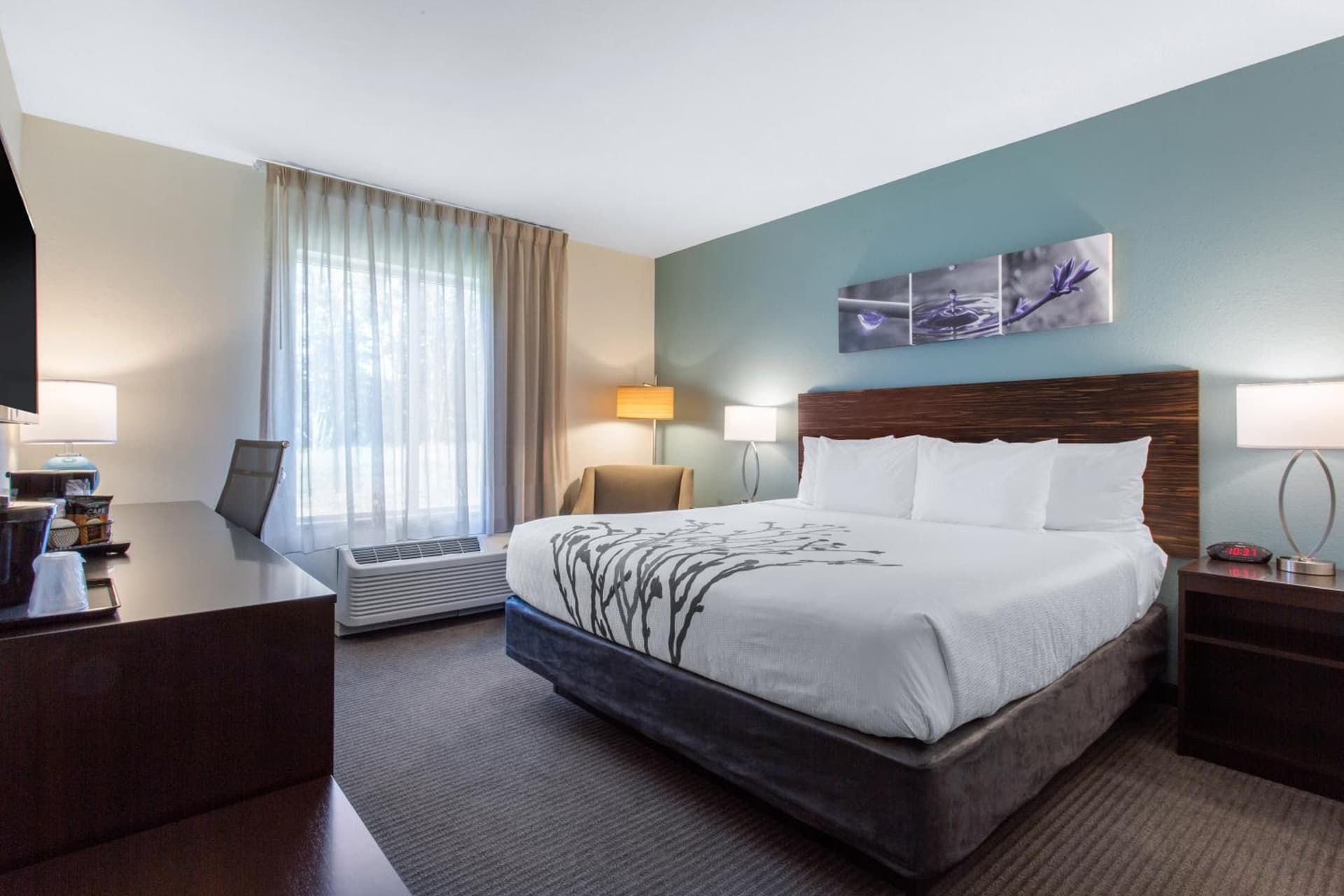 Sleep Inn & Suites Monroe - Woodbury gallery photo in Monroe, NY — image 9