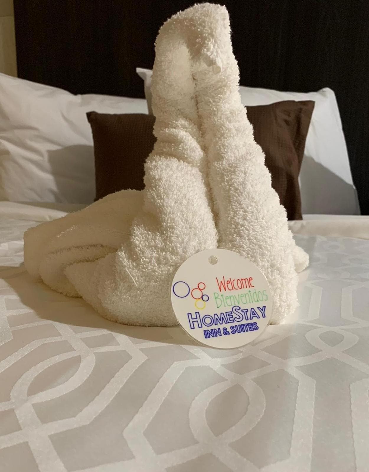 HomeStay Inn & Suites Edinburg property views in Edinburg, TX — gallery photo 3