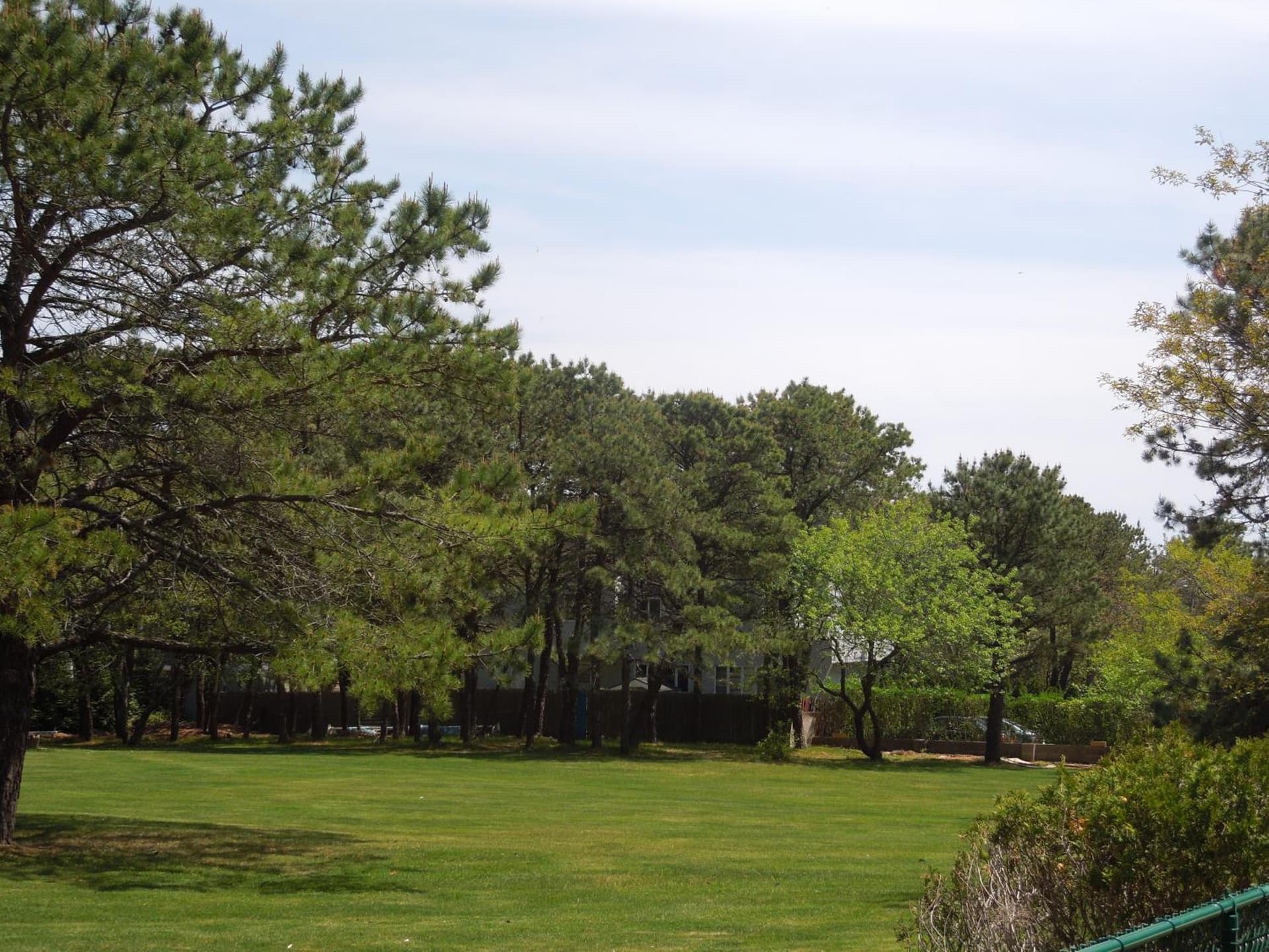 Hamlet Inn - Walk to PALM TREE FESTIVAL gallery photo in Southampton, NY — image 12