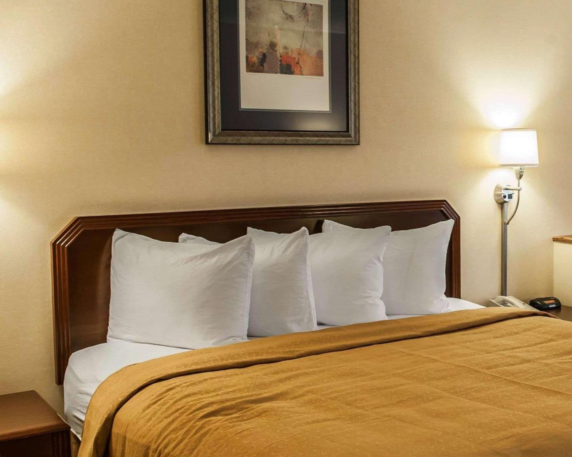 Quality Inn & Suites Goshen gallery photo in Goshen, IN — image 30