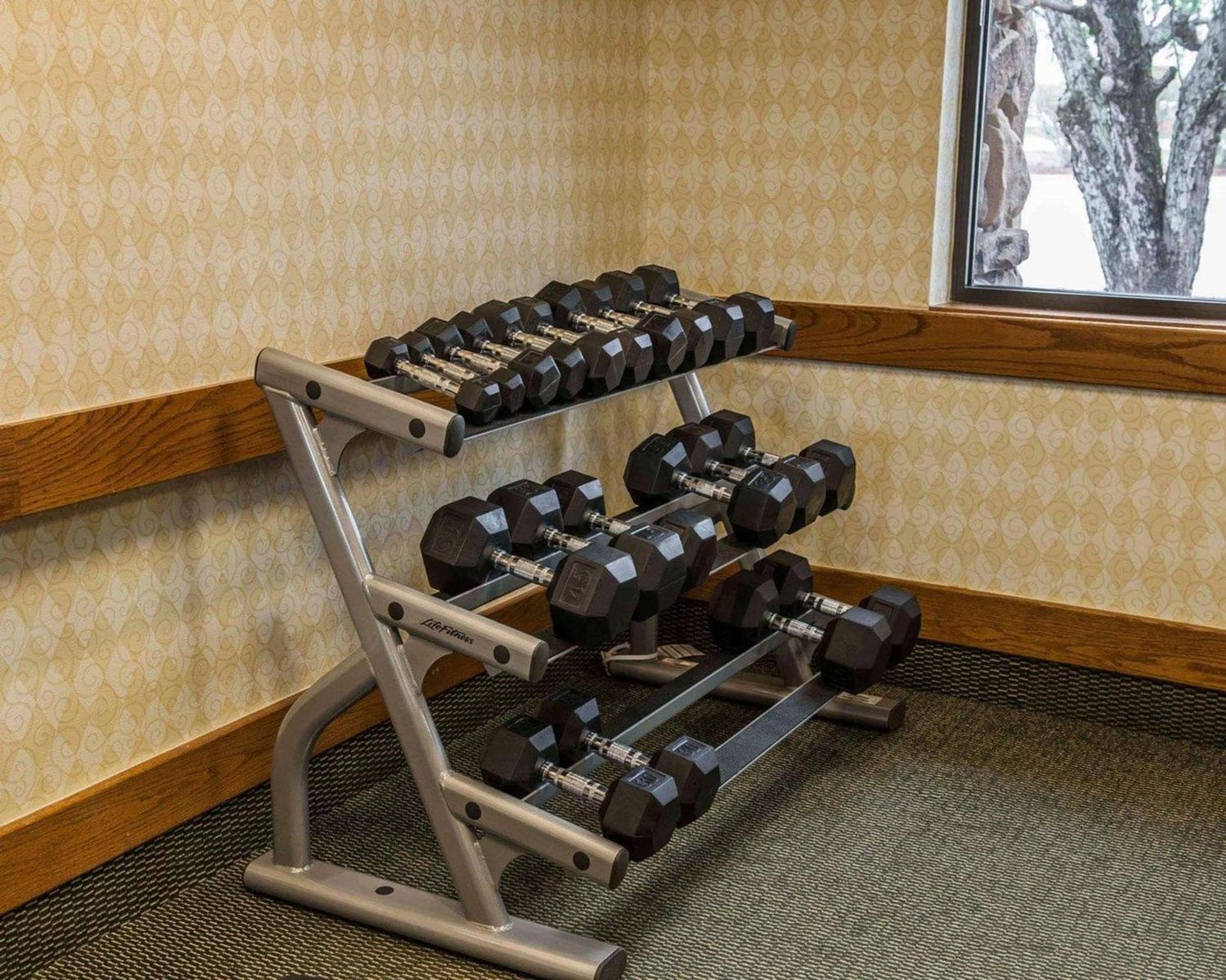 Quality Inn & Suites Goshen gallery photo in Goshen, IN — image 17