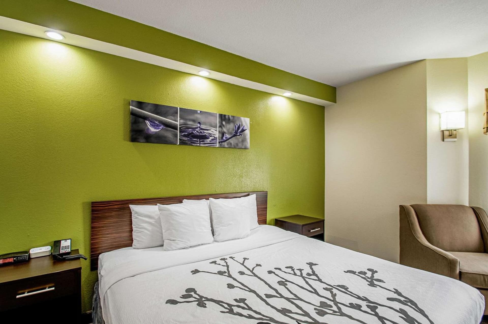 Garner Hotel Frederick Southeast by IHG gallery photo in Frederick, MD — image 4