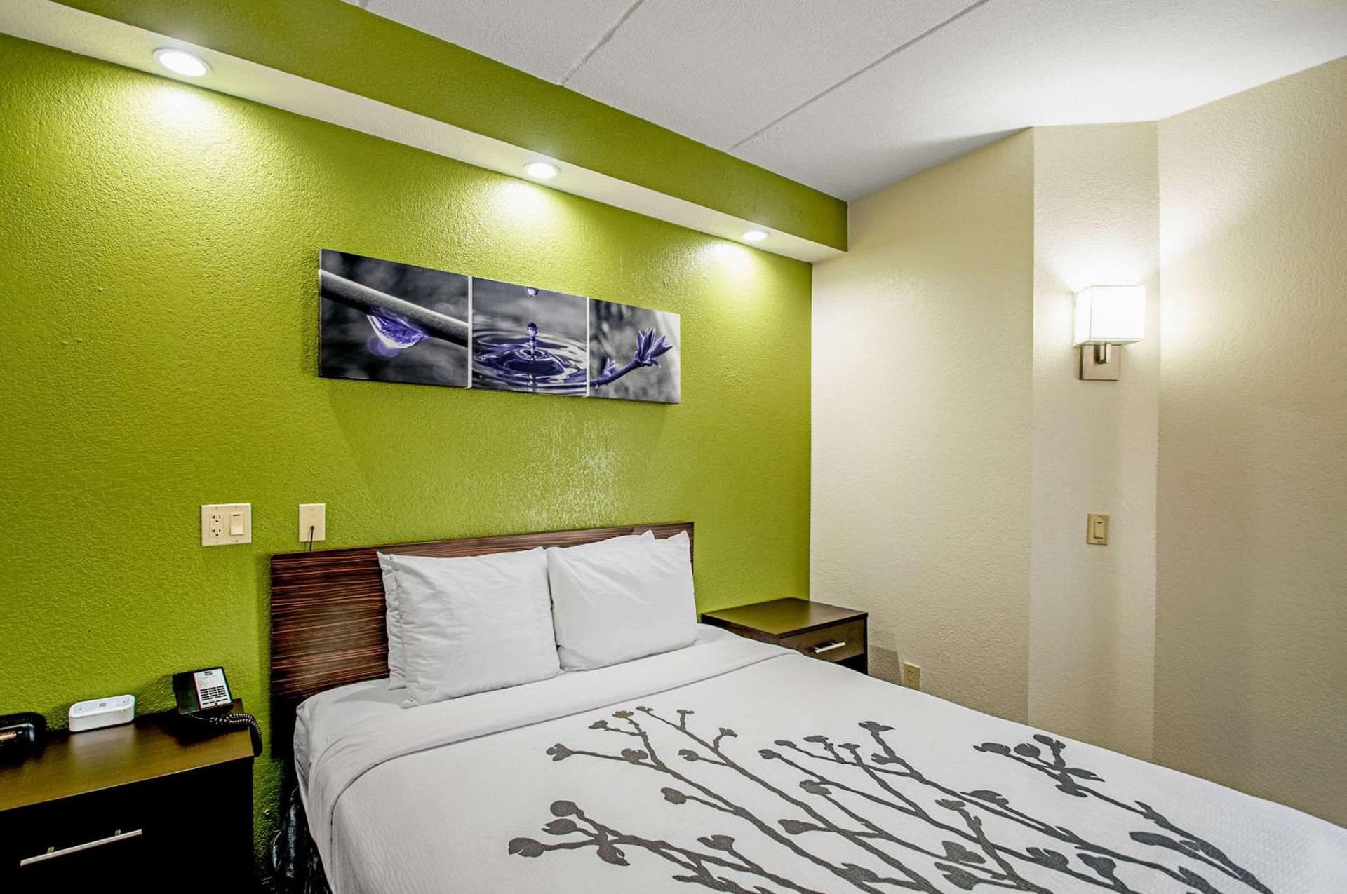 Garner Hotel Frederick Southeast by IHG gallery photo in Frederick, MD — image 27