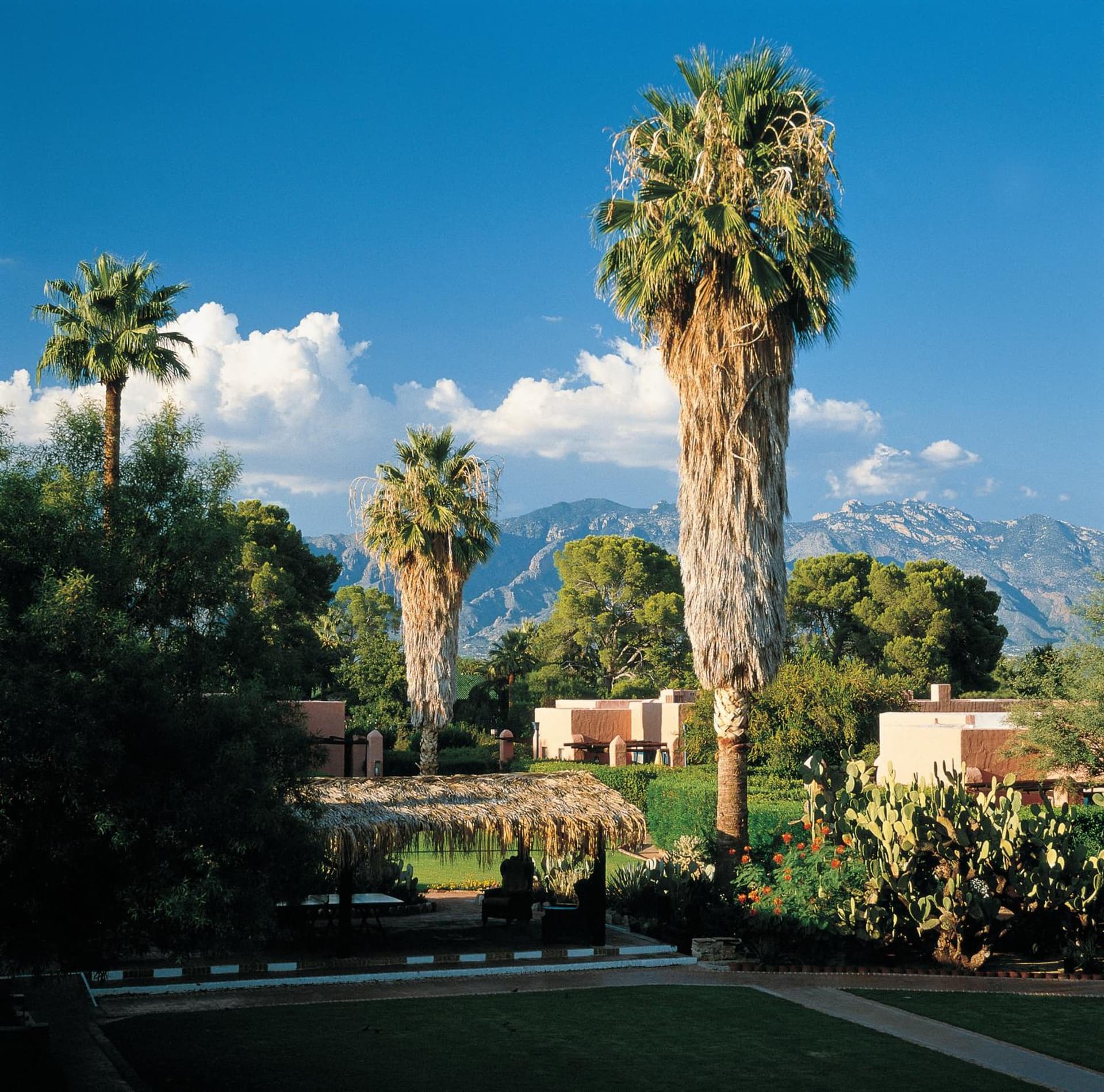 Arizona Inn gallery photo in Tucson, AZ — image 30