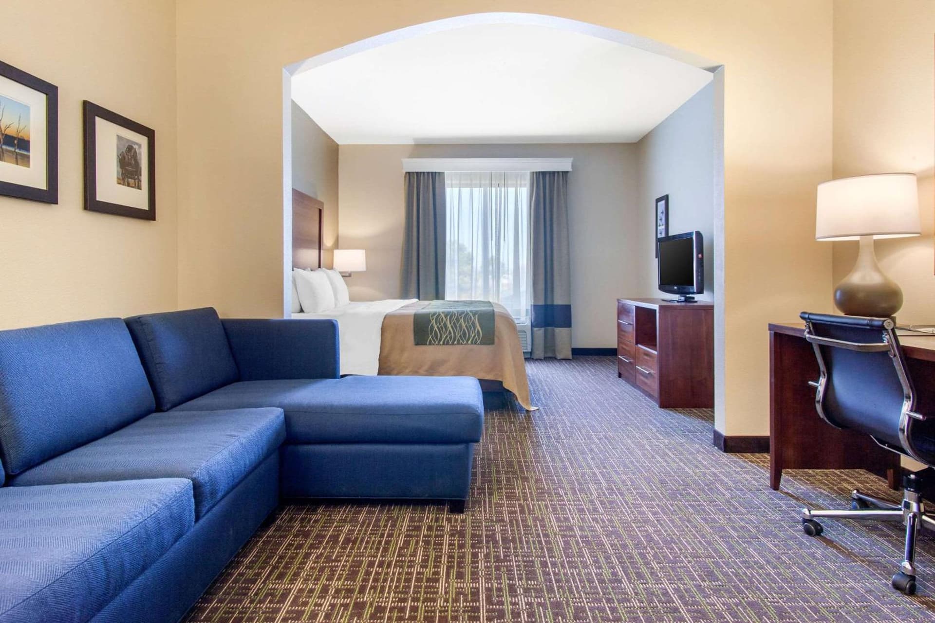 Comfort Inn & Suites Norman near University gallery photo in Norman, OK — image 46