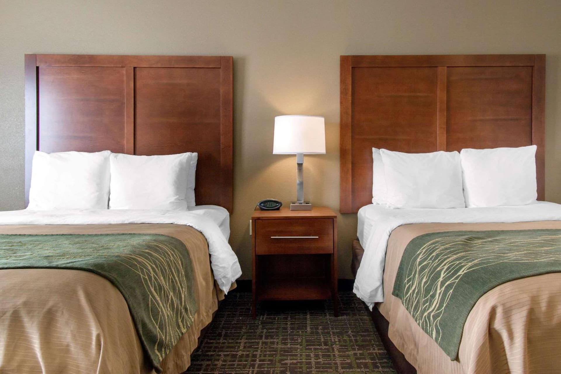 Comfort Inn & Suites Norman near University gallery photo in Norman, OK — image 10