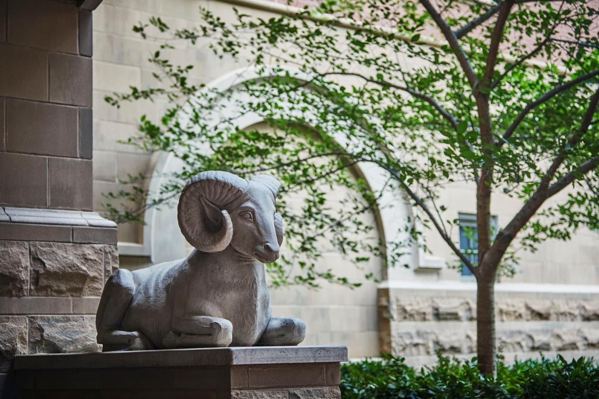 Graduate by Hilton Richmond gallery photo in Richmond, VA — image 36