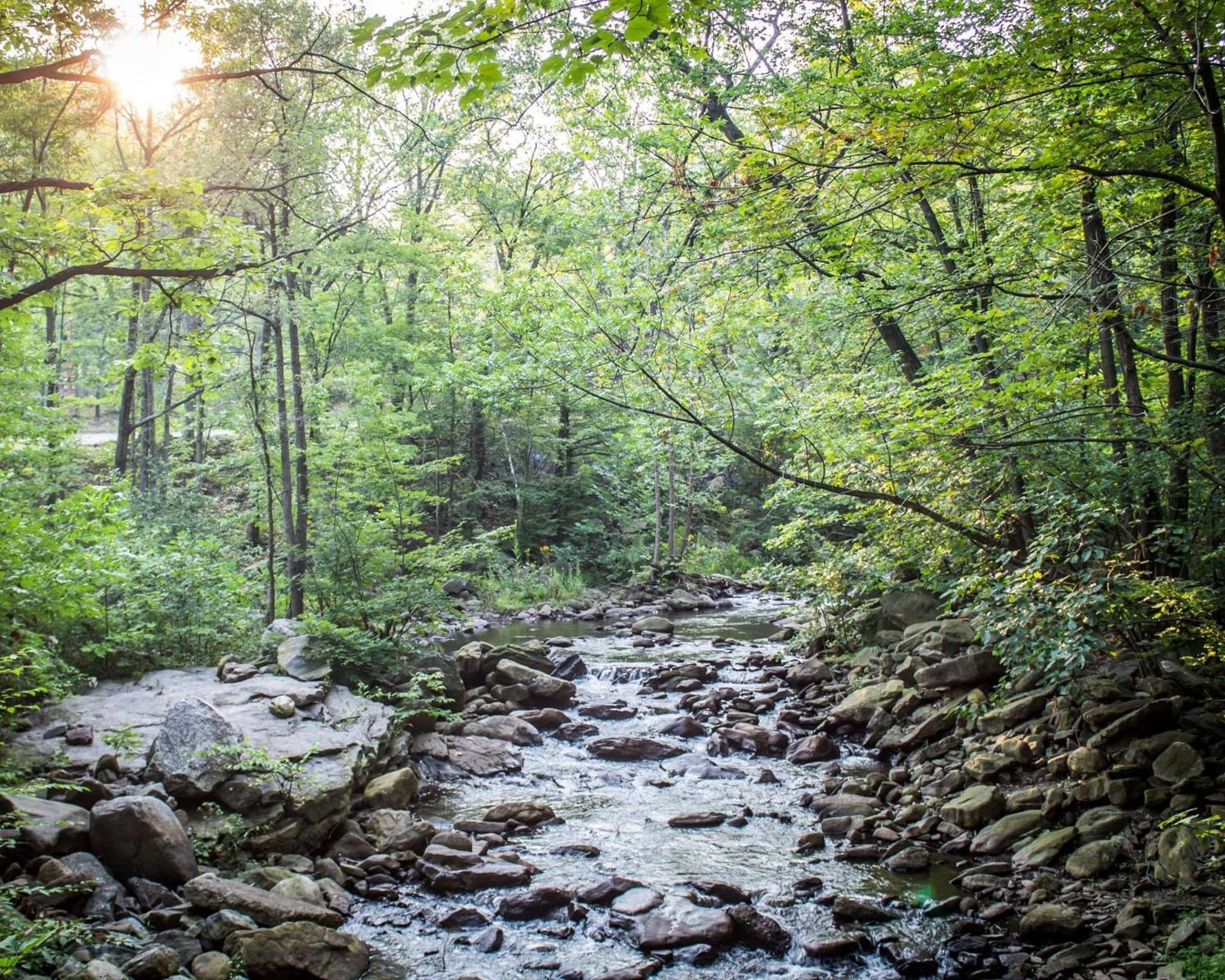 The Woodlands Inn gallery photo in Wilkes-Barre, PA — image 29