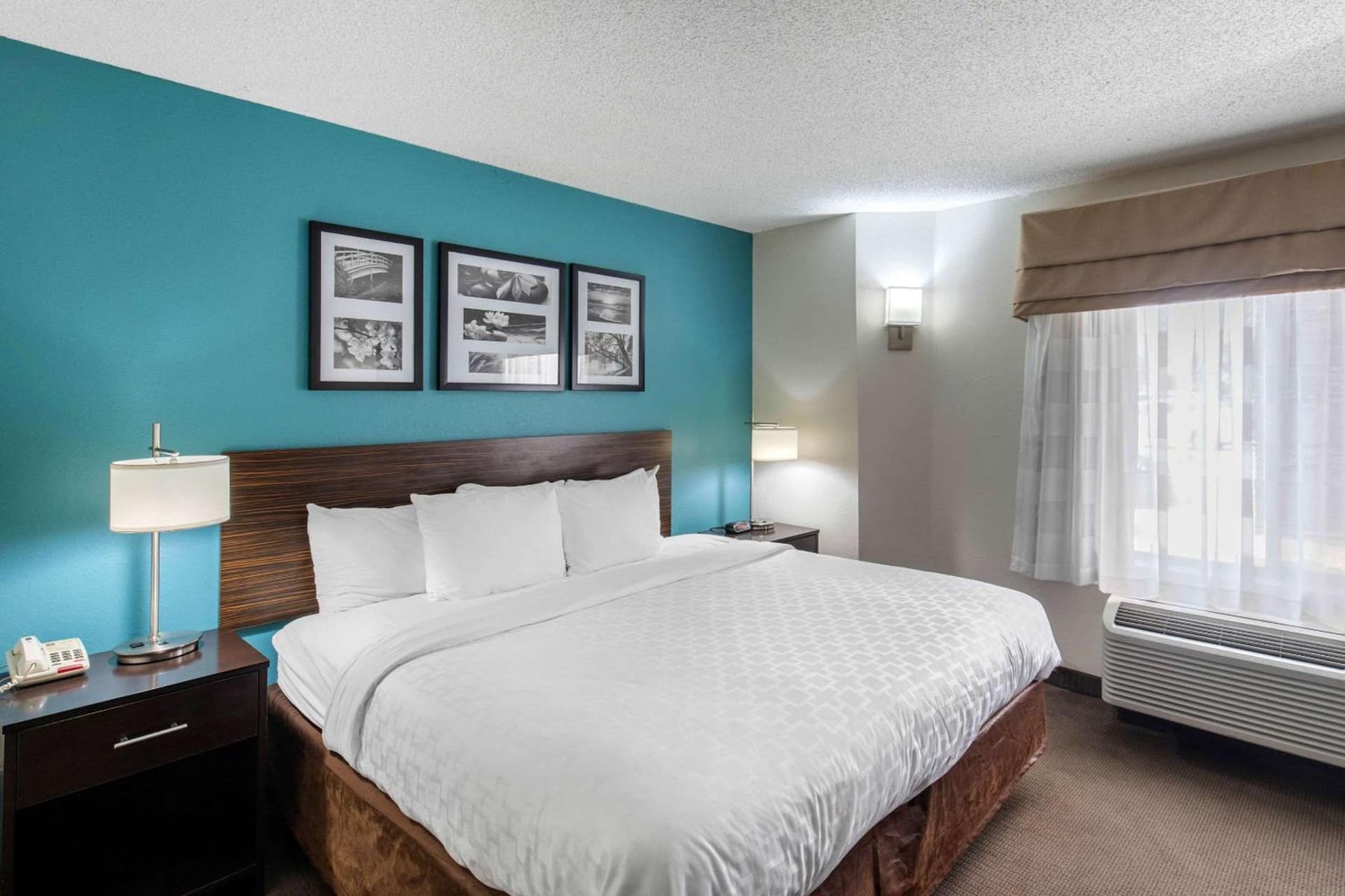 Clarion Inn & Suites DFW North gallery photo in Irving, TX — image 8