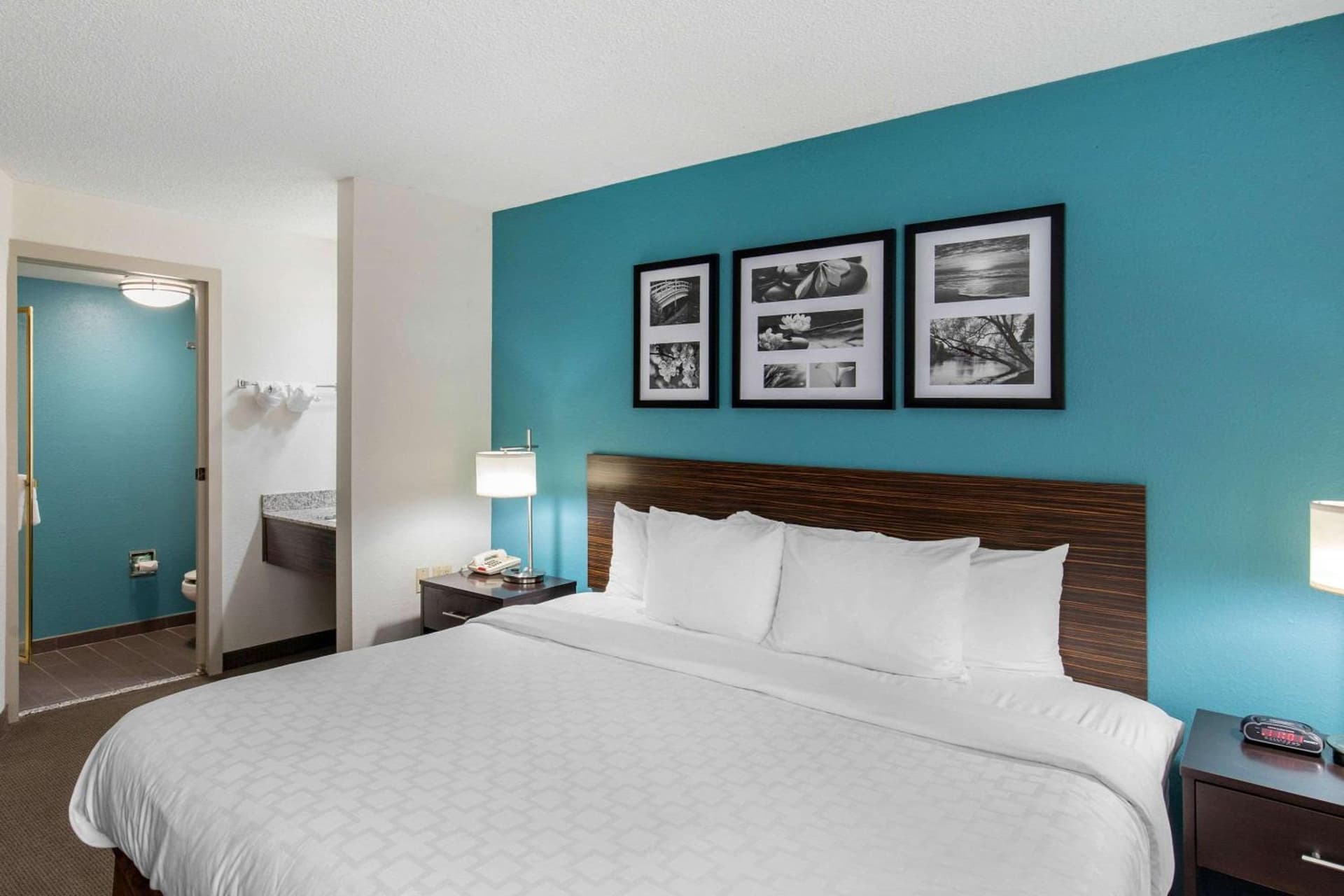 Clarion Inn & Suites DFW North gallery photo in Irving, TX — image 39