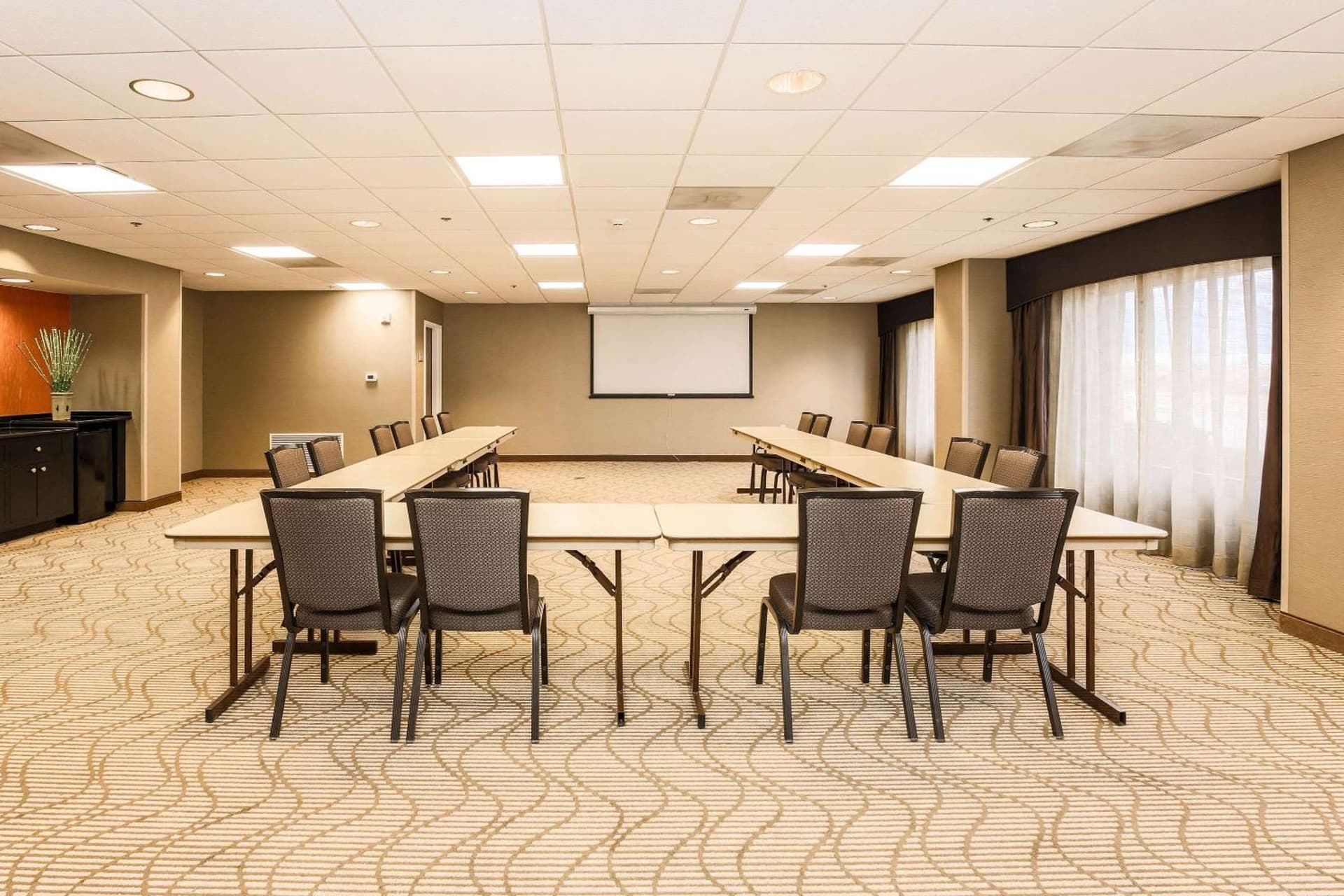 Comfort Suites DFW N-Grapevine gallery photo in Grapevine, TX — image 7