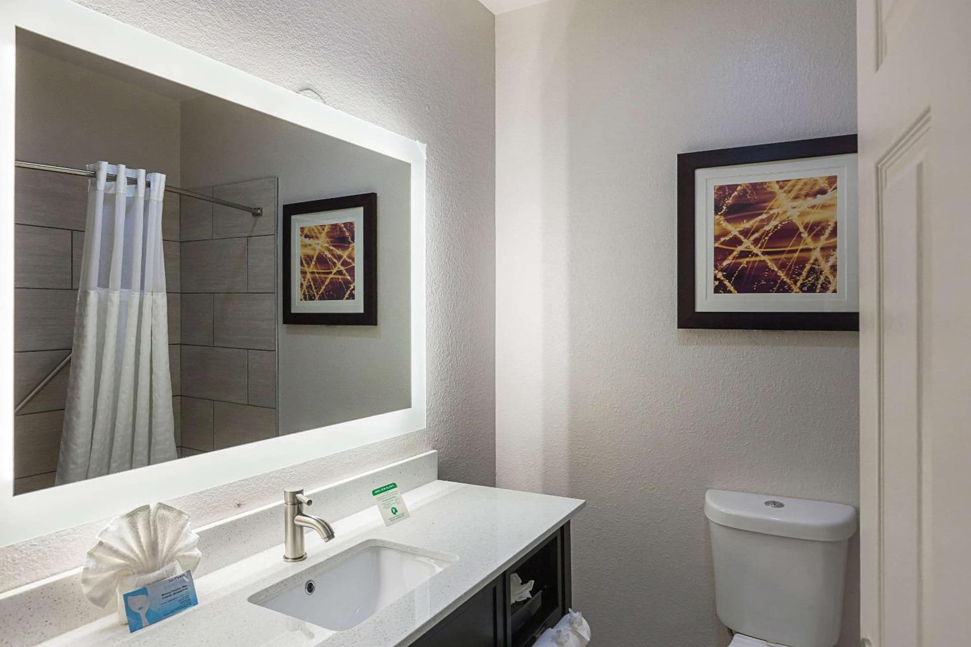 Comfort Suites Lewisville - Dallas gallery photo in Lewisville, TX — image 23