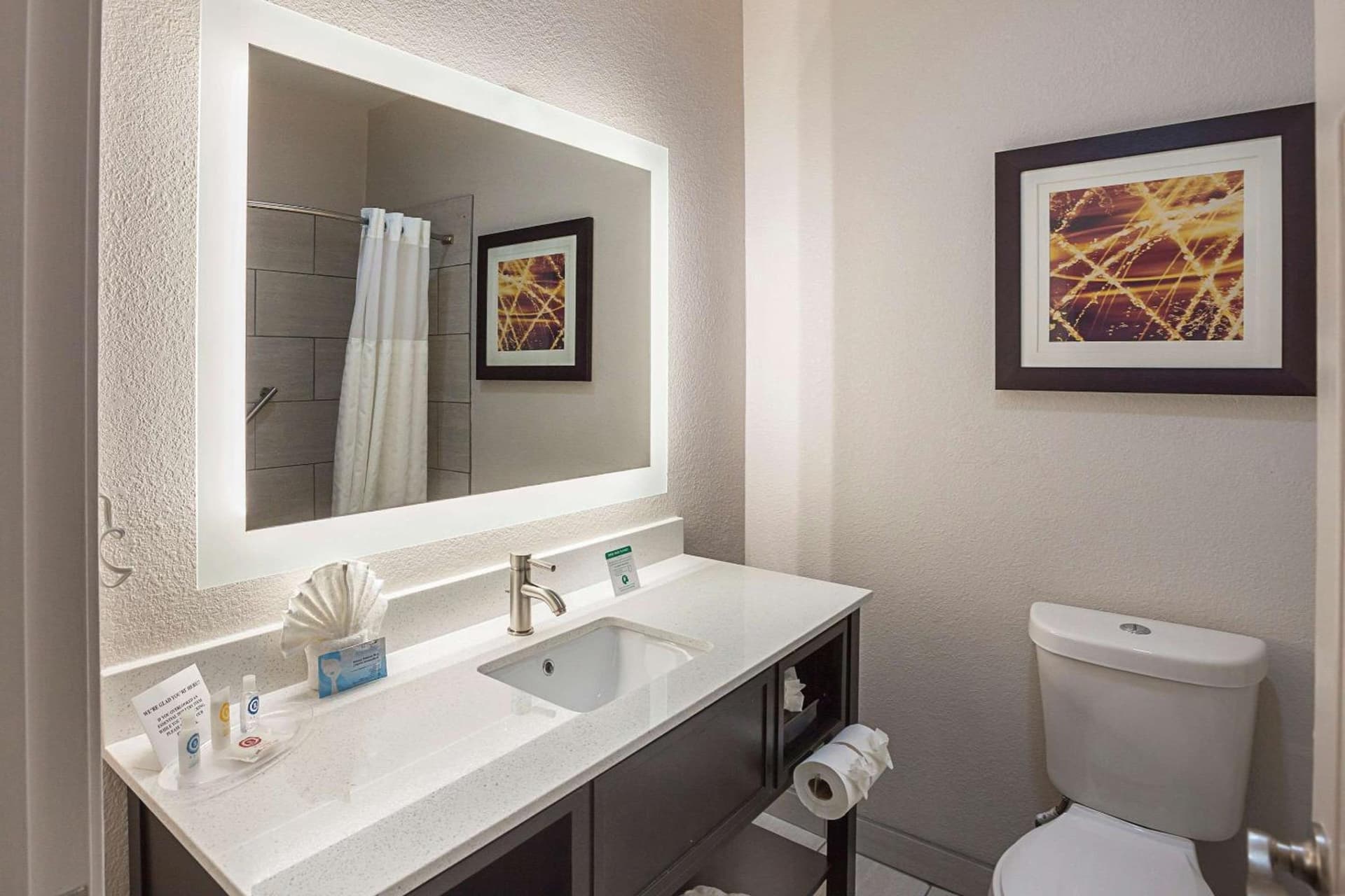 Comfort Suites Lewisville - Dallas gallery photo in Lewisville, TX — image 35