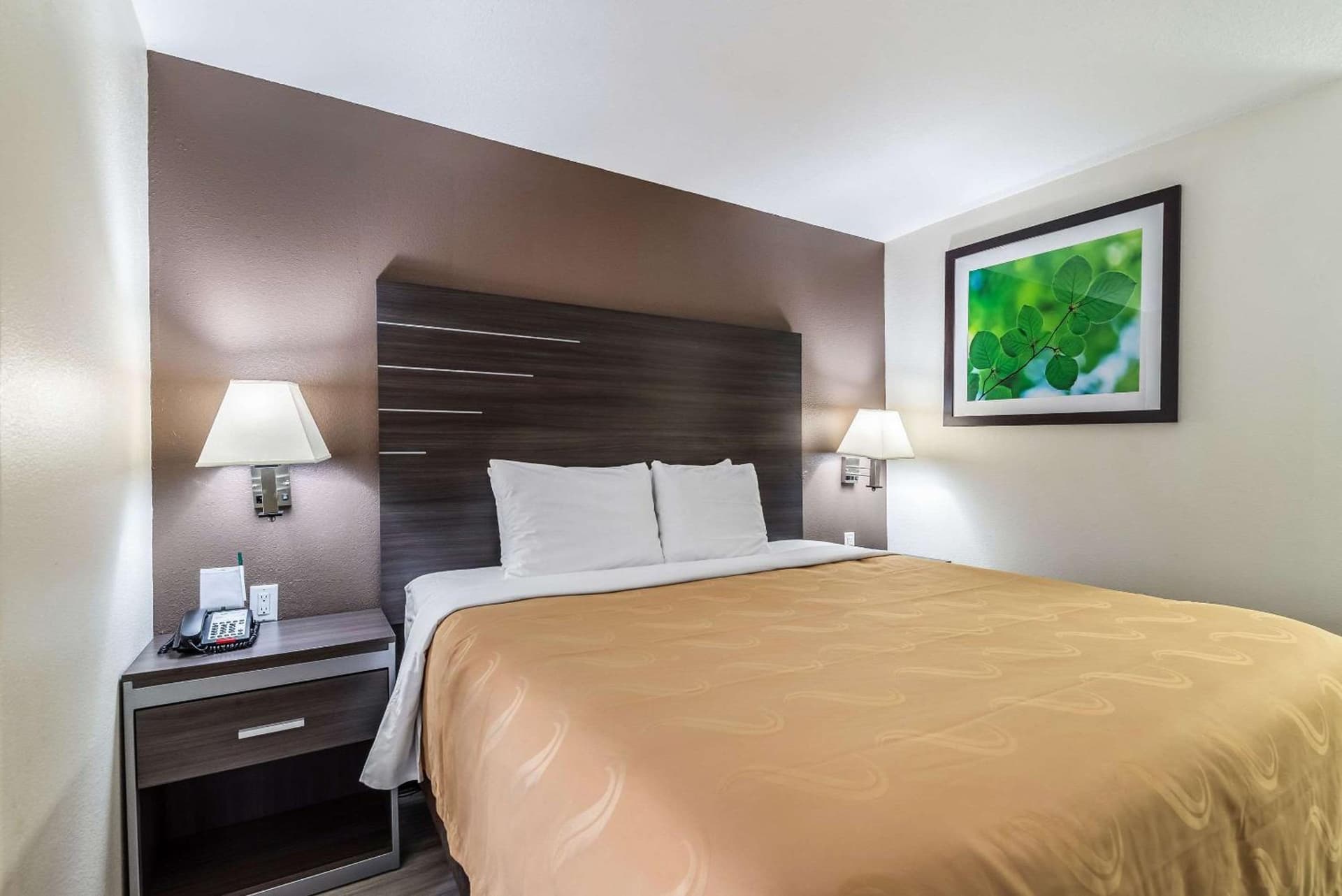 Quality Inn & Suites Canton gallery photo in Canton, TX — image 30
