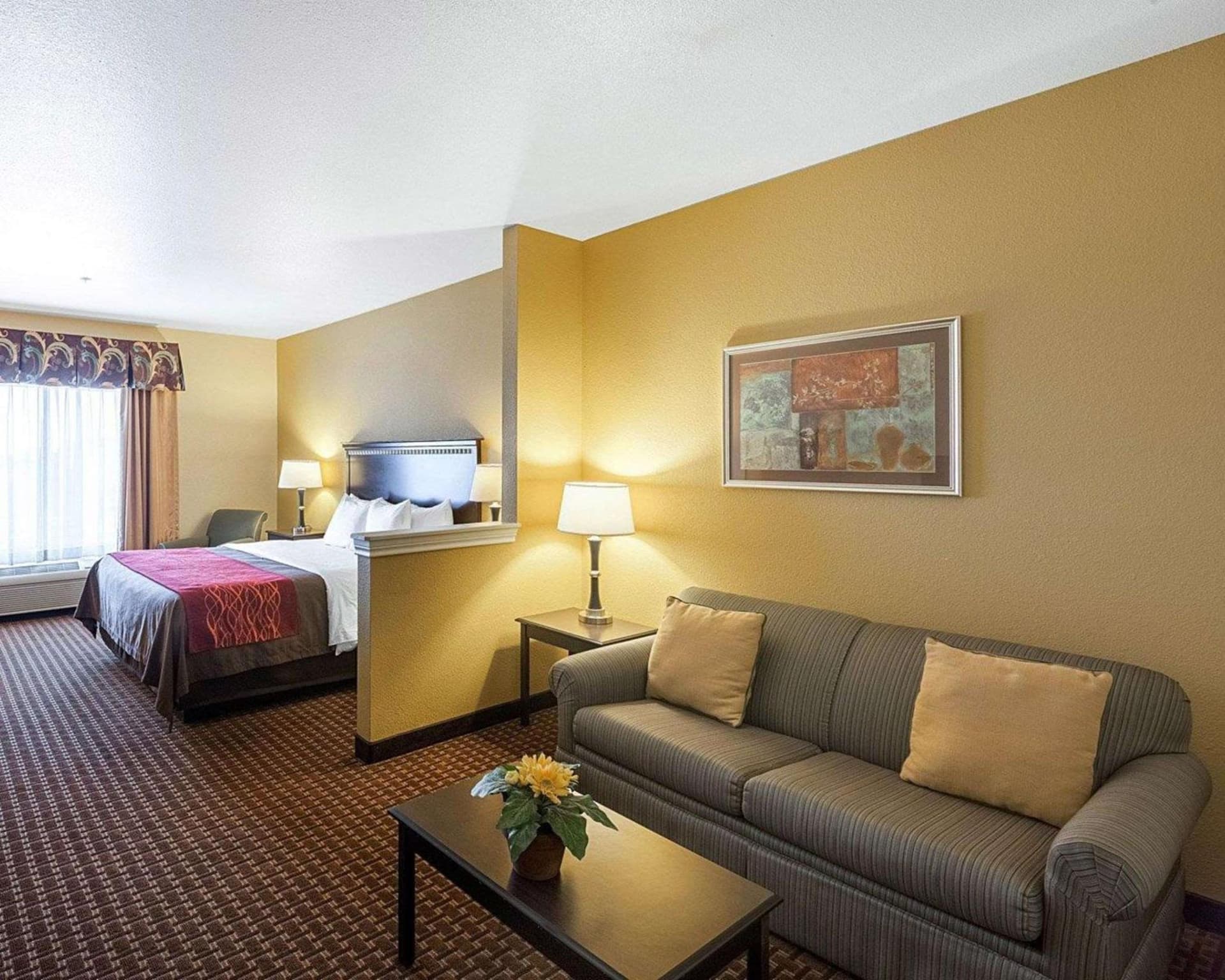 Comfort Inn & Suites Regional Medical Center gallery photo in Abilene, TX — image 21