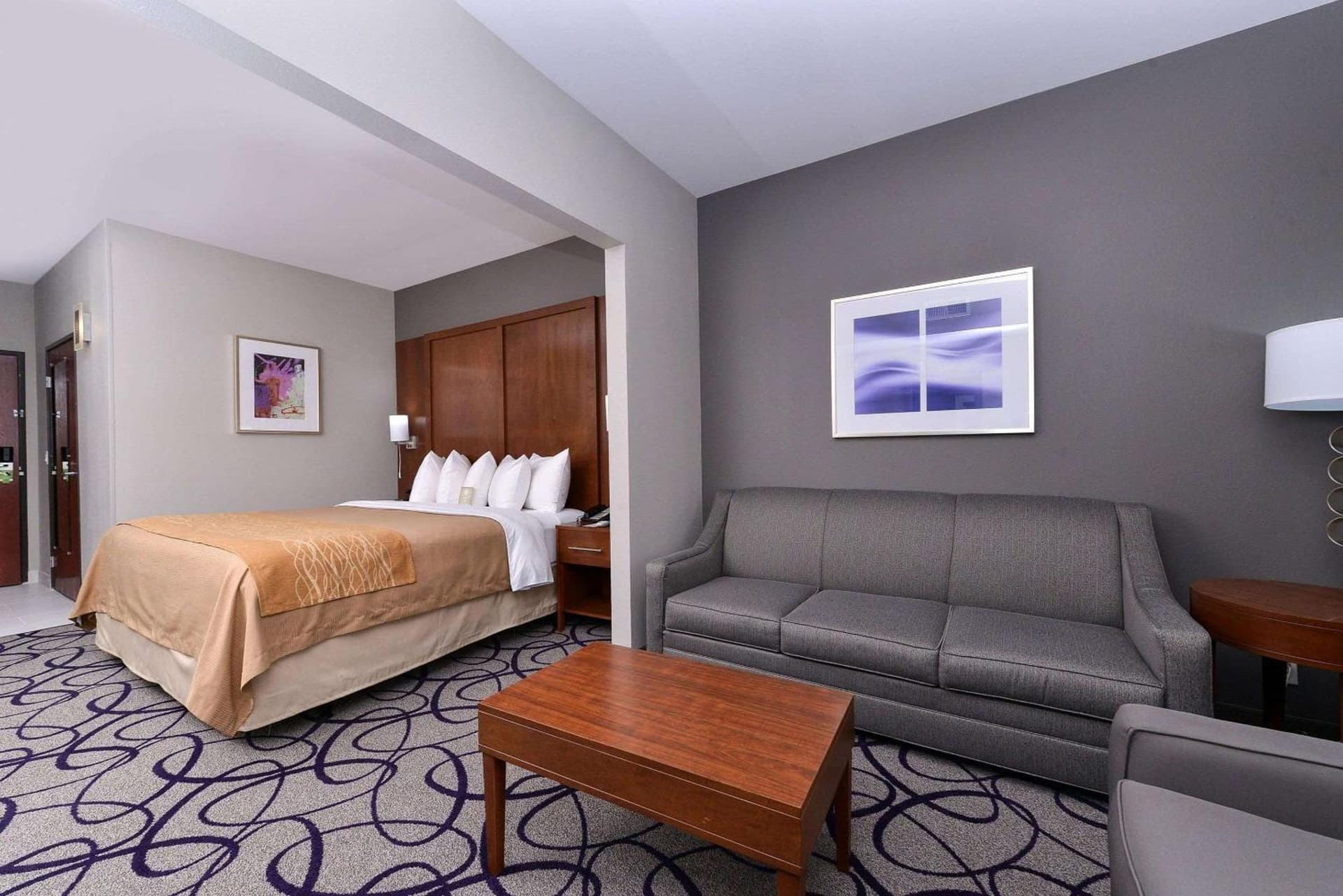 Comfort Inn & Suites Frisco - Plano gallery photo in Frisco, TX — image 19
