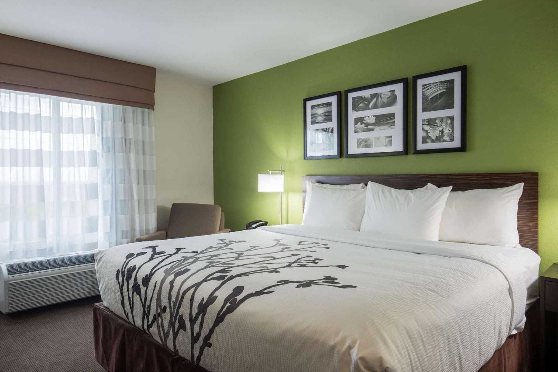 Sleep Inn & Suites Ingleside - Corpus Christi gallery photo in Ingleside, TX — image 41