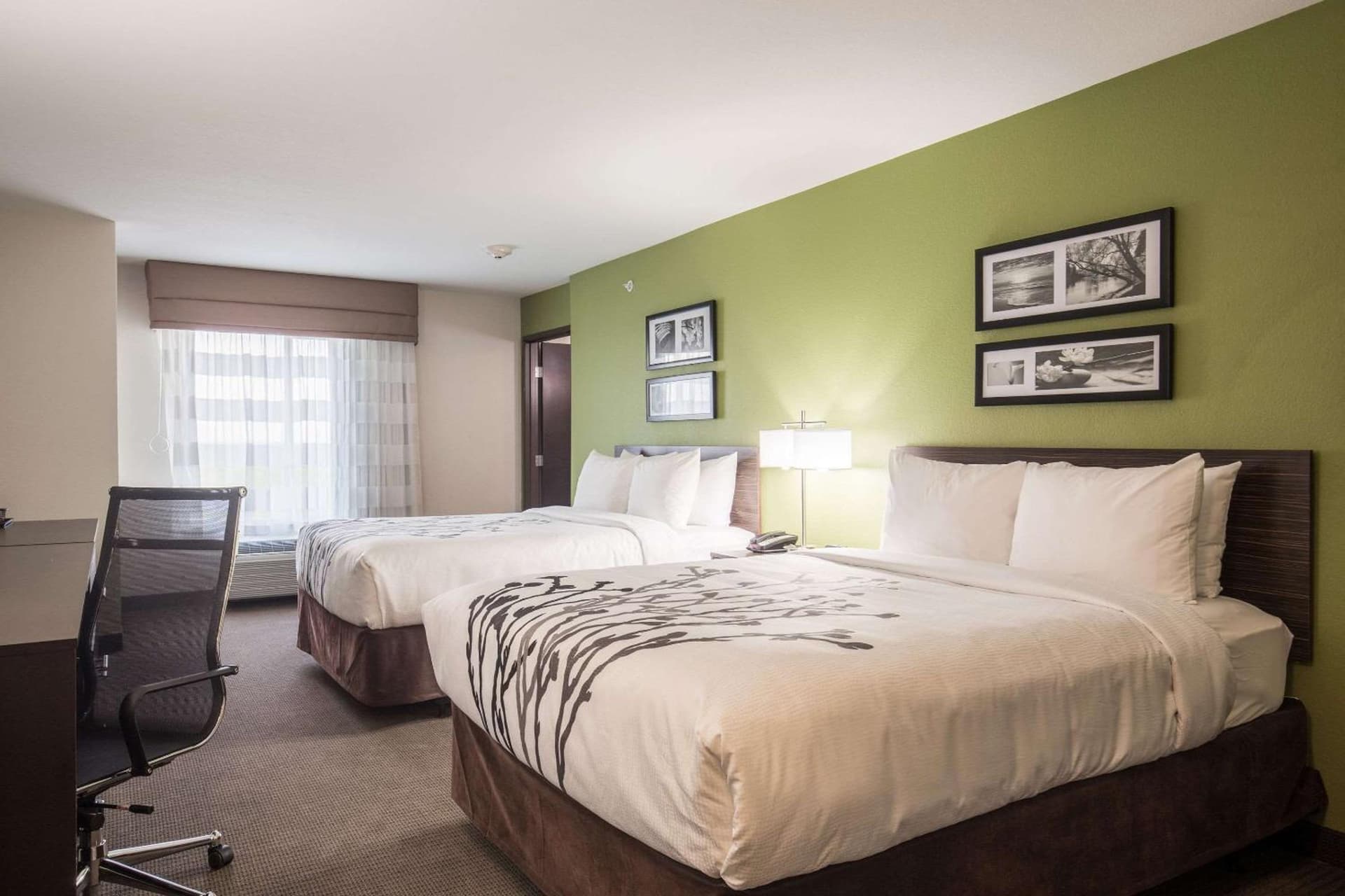 Sleep Inn & Suites Ingleside - Corpus Christi gallery photo in Ingleside, TX — image 4