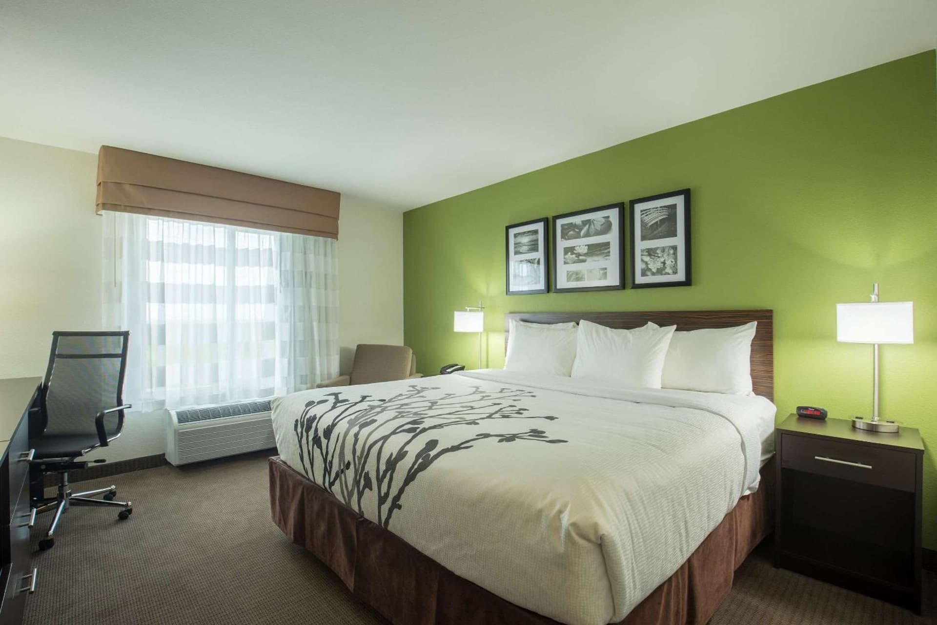 Sleep Inn & Suites Ingleside - Corpus Christi gallery photo in Ingleside, TX — image 36