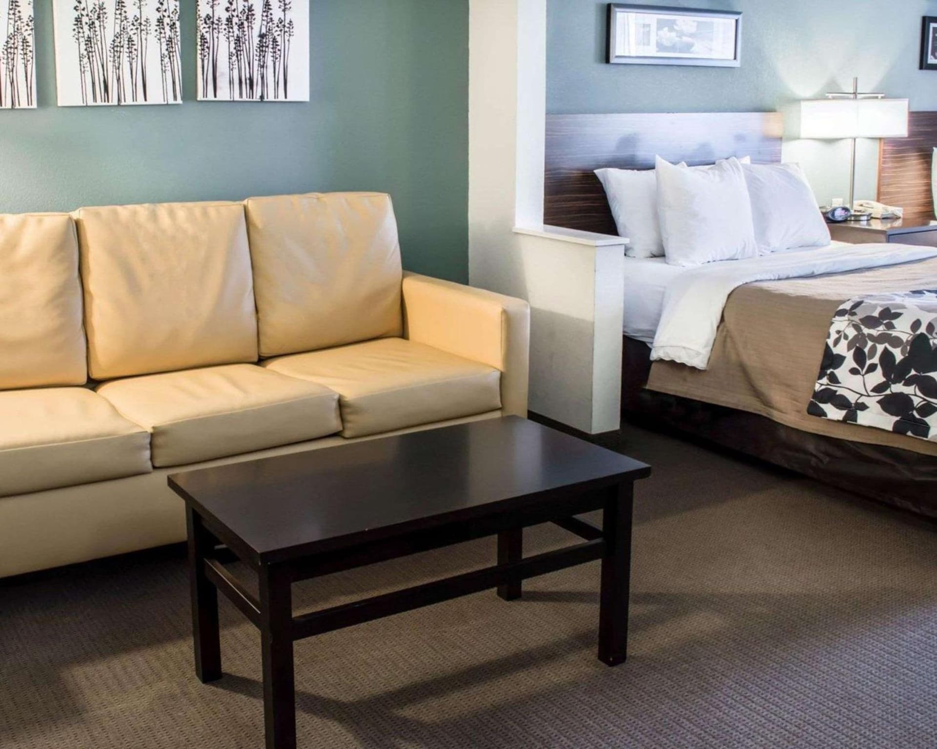 Sleep Inn & Suites Monticello gallery photo in Charlottesville, VA — image 8