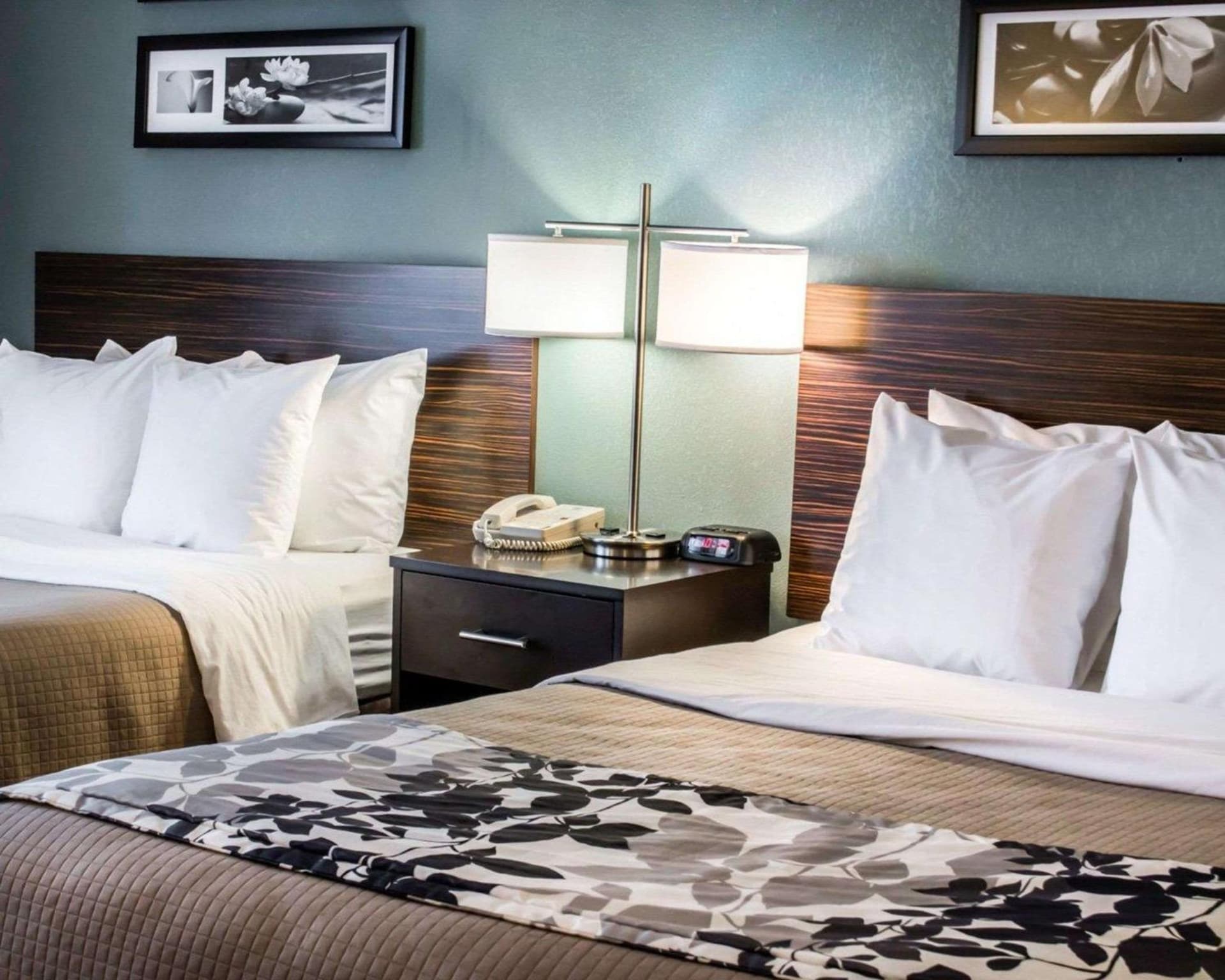 Sleep Inn & Suites Monticello gallery photo in Charlottesville, VA — image 14