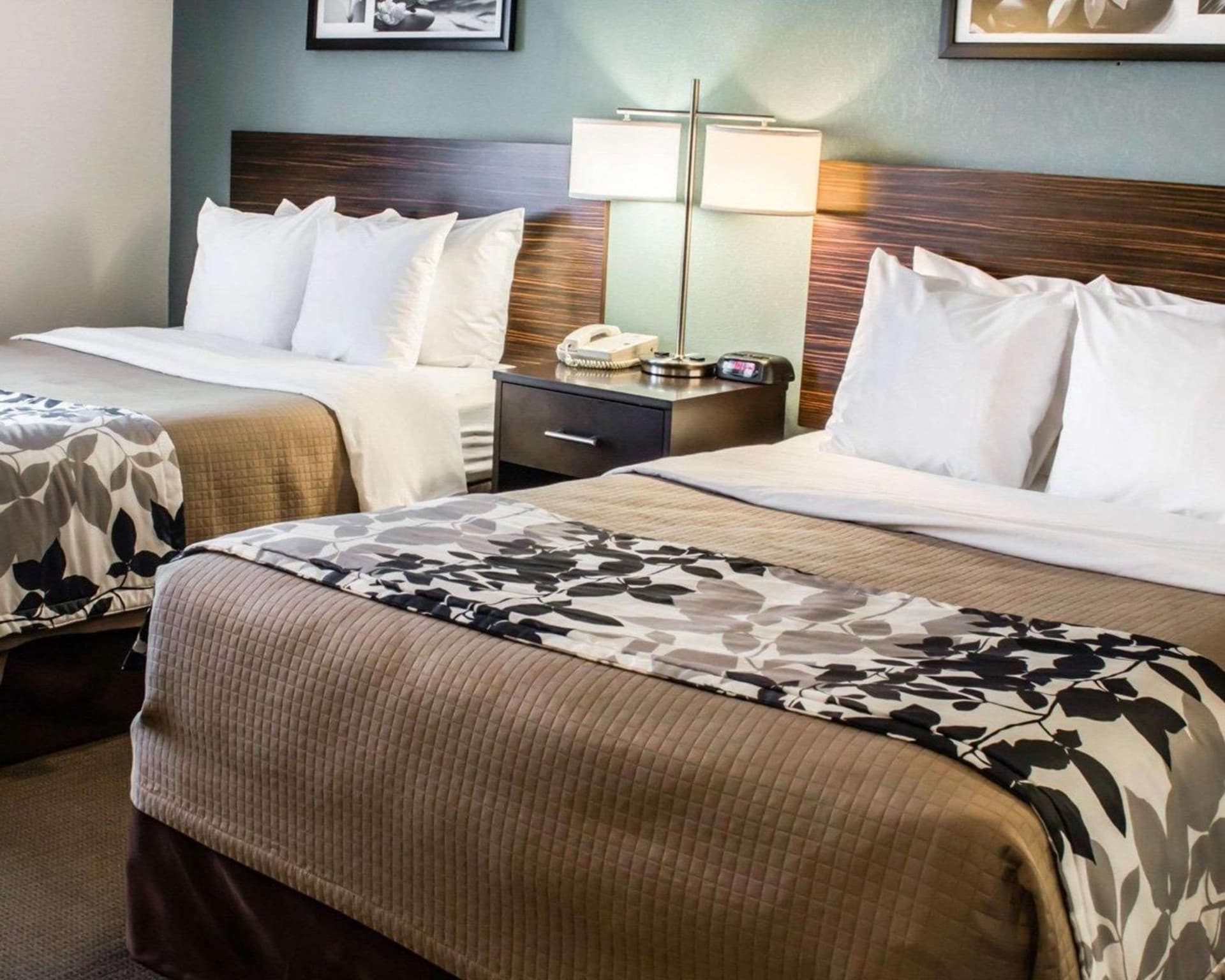 Sleep Inn & Suites Monticello gallery photo in Charlottesville, VA — image 26