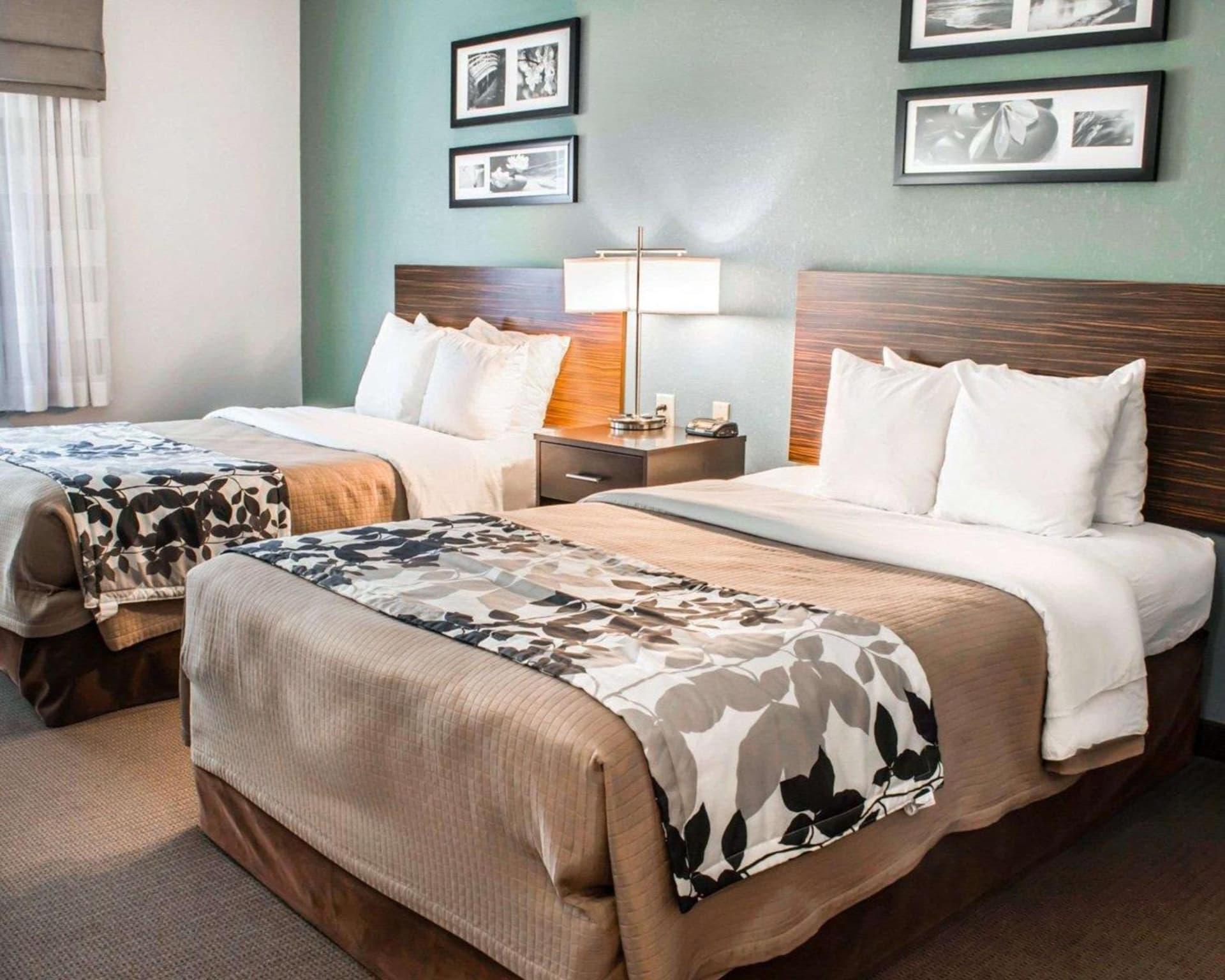 Sleep Inn & Suites Monticello gallery photo in Charlottesville, VA — image 23