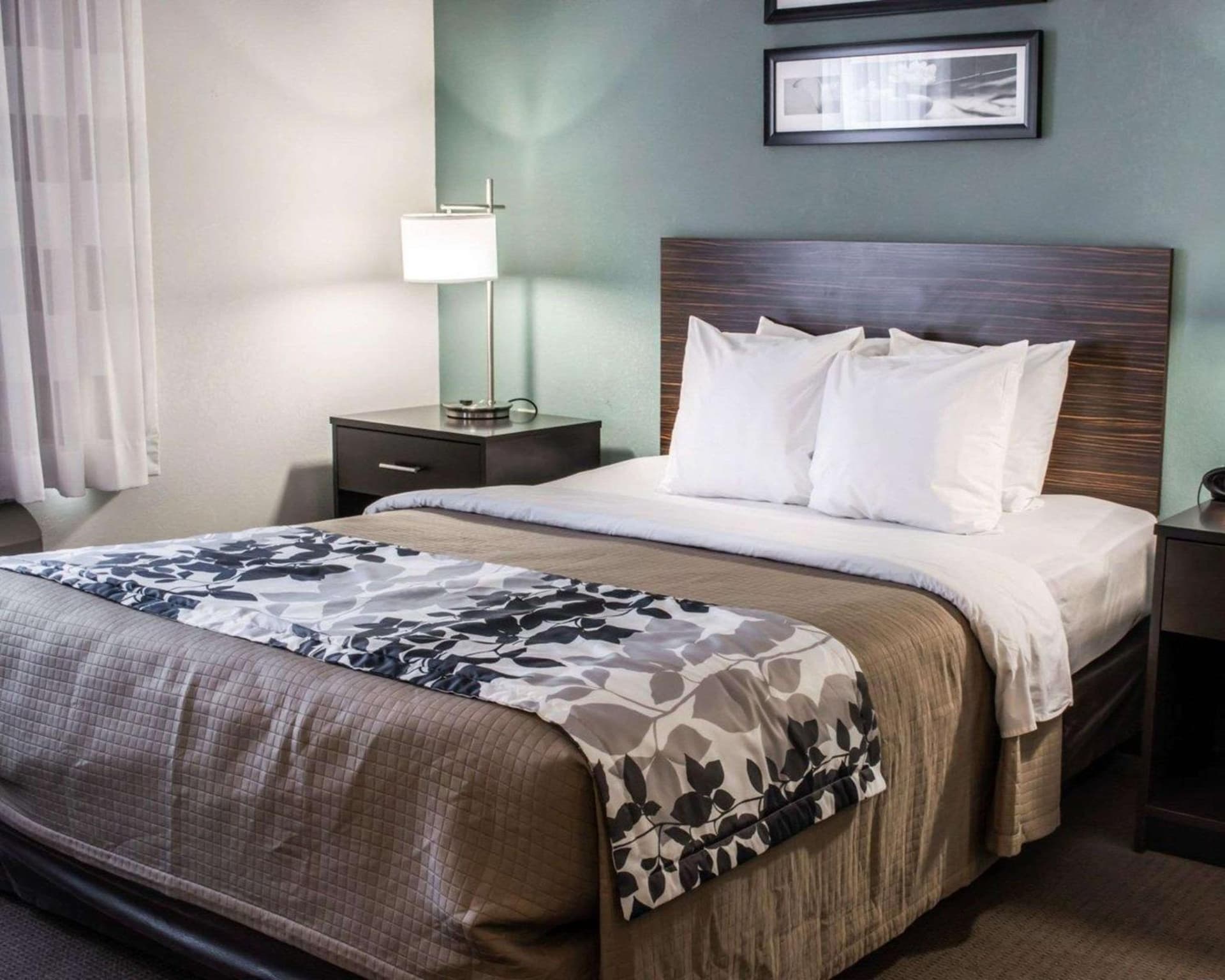Sleep Inn & Suites Monticello gallery photo in Charlottesville, VA — image 34
