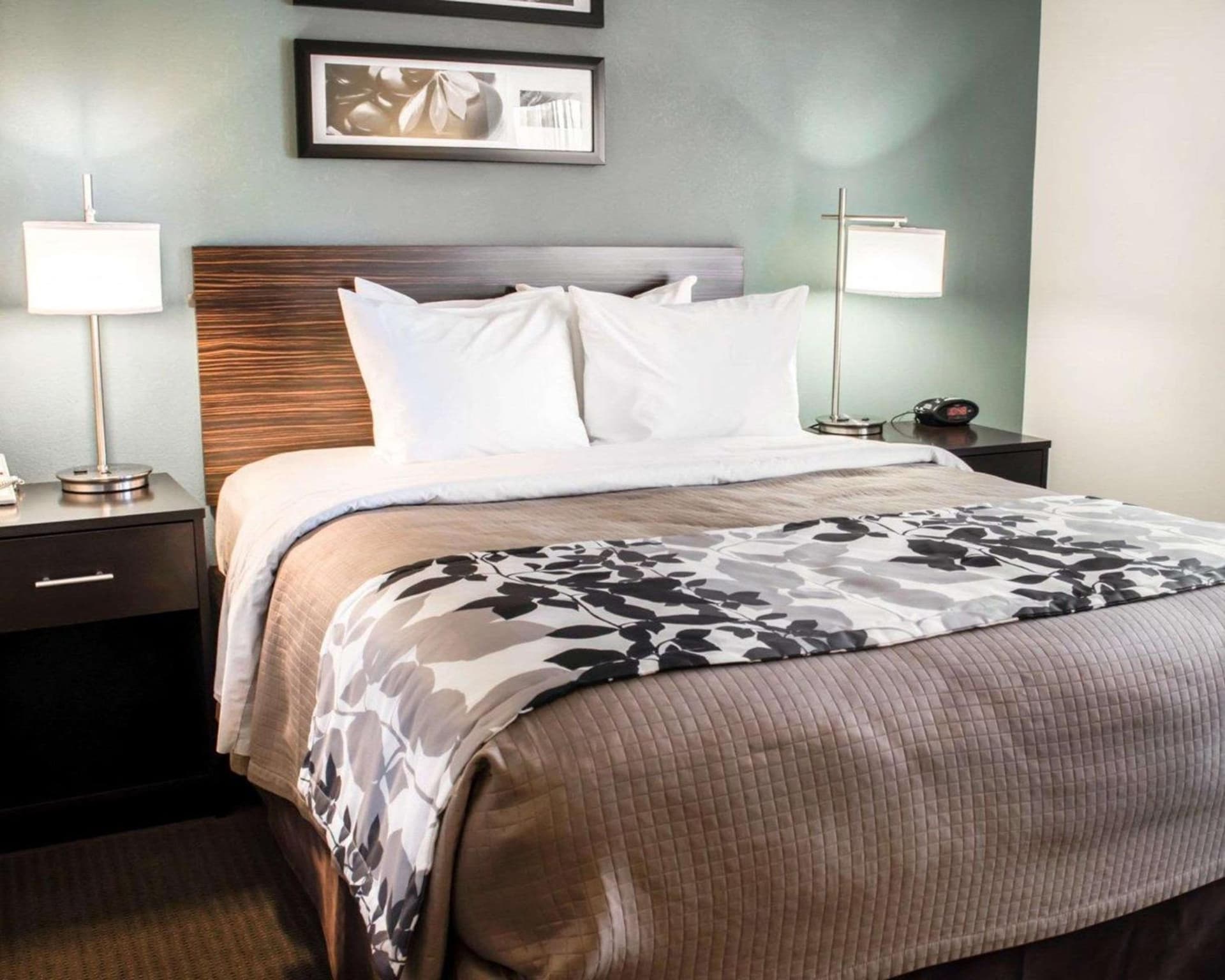Sleep Inn & Suites Monticello gallery photo in Charlottesville, VA — image 35