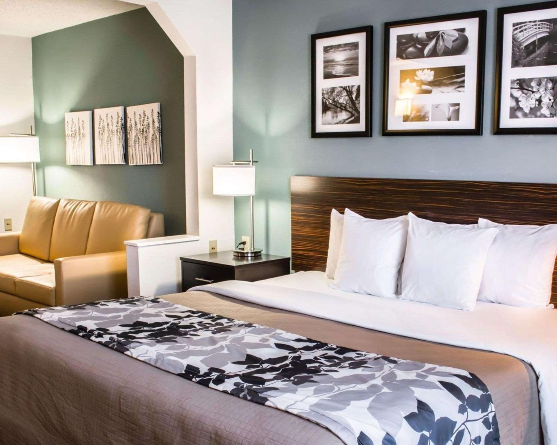 Sleep Inn & Suites Monticello property views in Charlottesville, VA — gallery photo 3