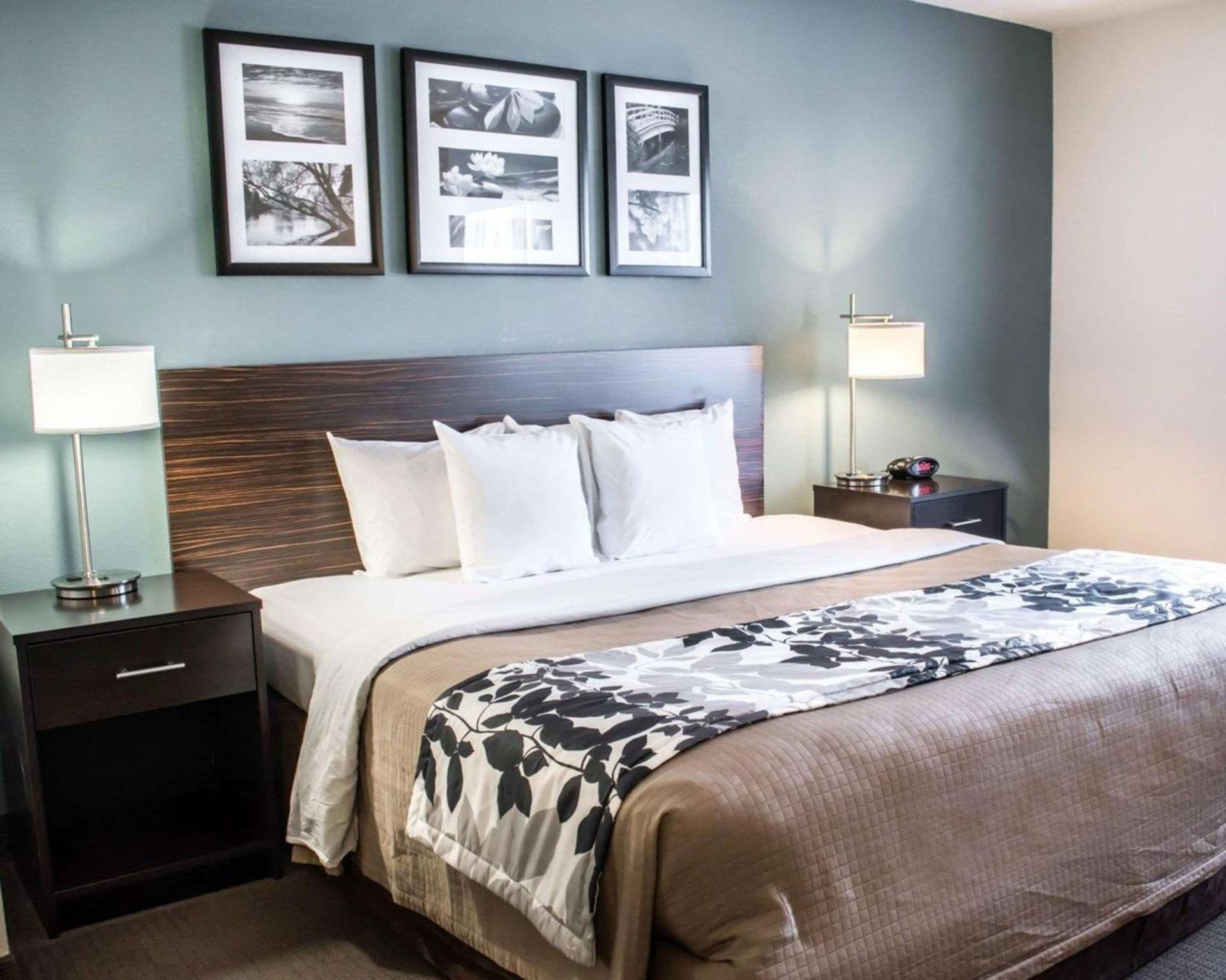 Sleep Inn & Suites Monticello gallery photo in Charlottesville, VA — image 27