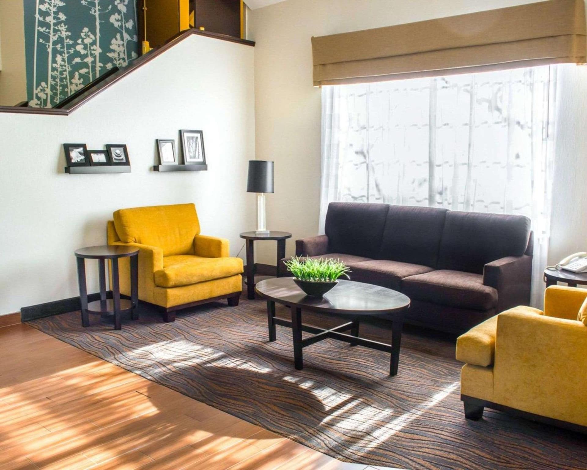 Sleep Inn & Suites Monticello gallery photo in Charlottesville, VA — image 20