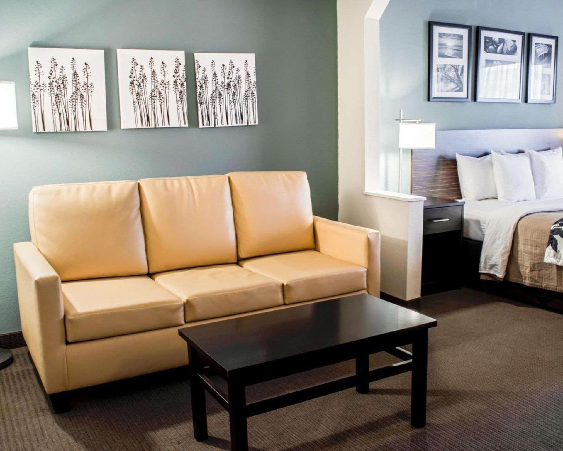 Sleep Inn & Suites Monticello gallery photo in Charlottesville, VA — image 36