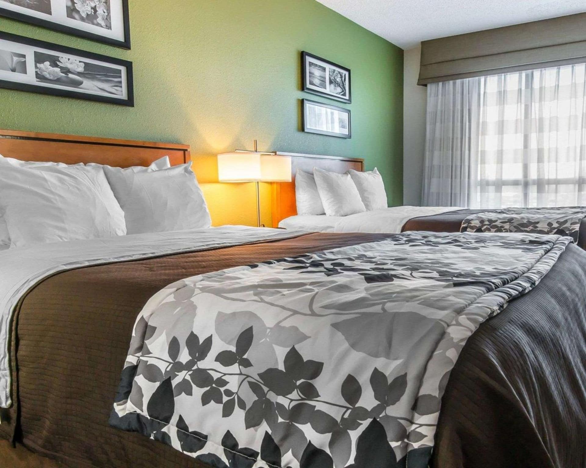 Sleep Inn & Suites Winchester near University gallery photo in Winchester, VA — image 38