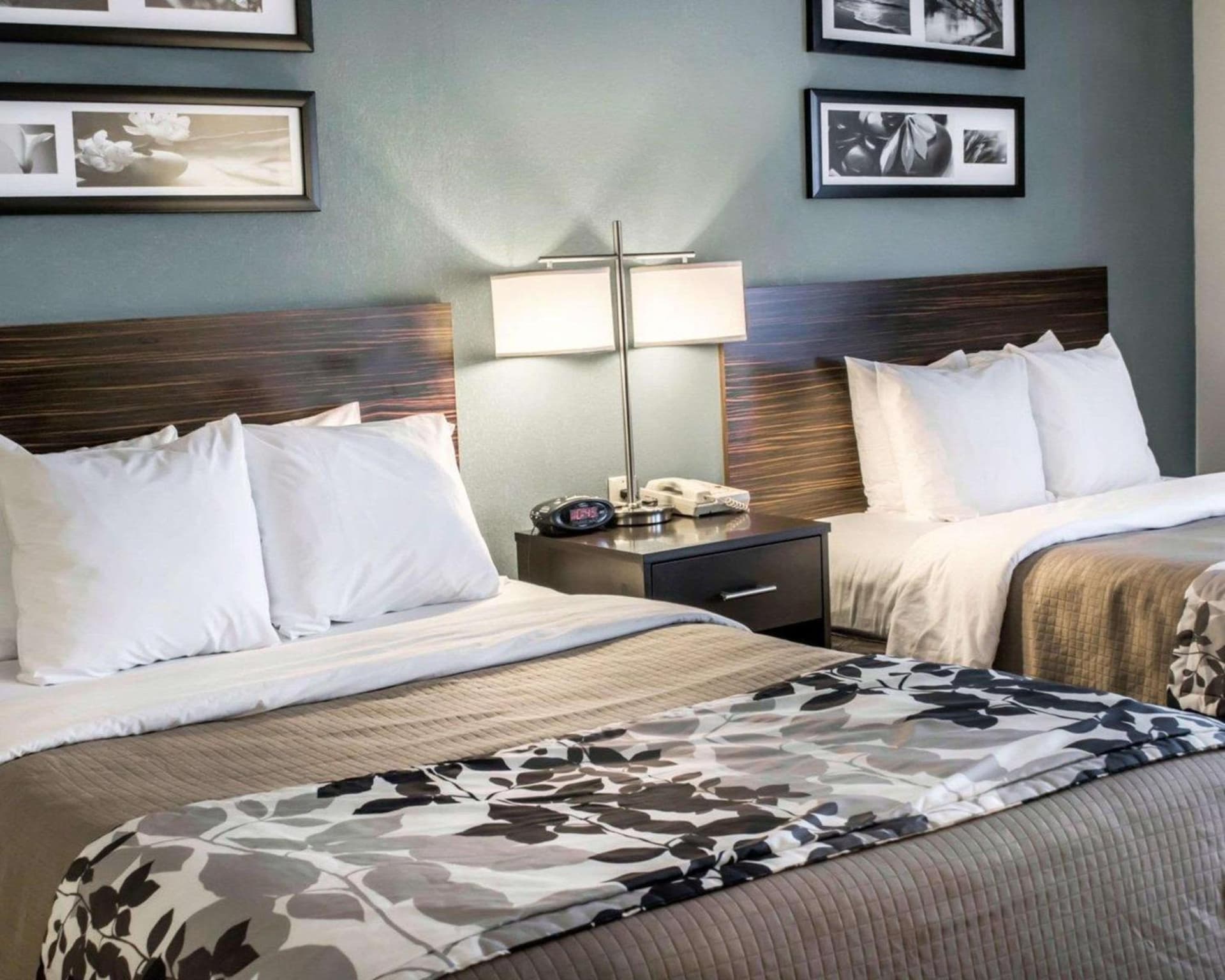 Sleep Inn & Suites Monticello gallery photo in Charlottesville, VA — image 37