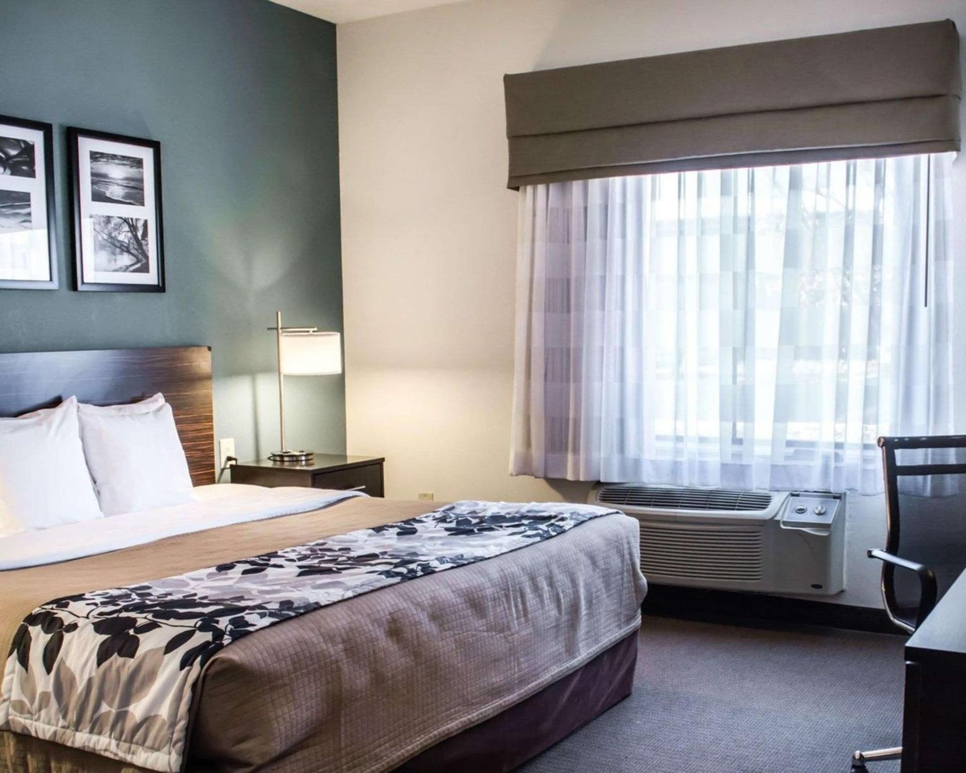 Sleep Inn & Suites Monticello gallery photo in Charlottesville, VA — image 4