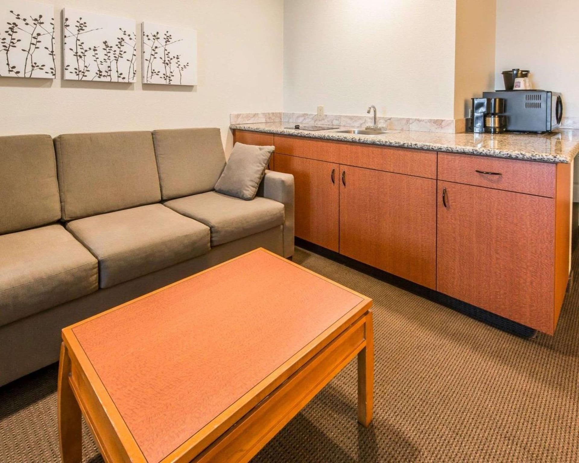 Sleep Inn & Suites Winchester near University gallery photo in Winchester, VA — image 33