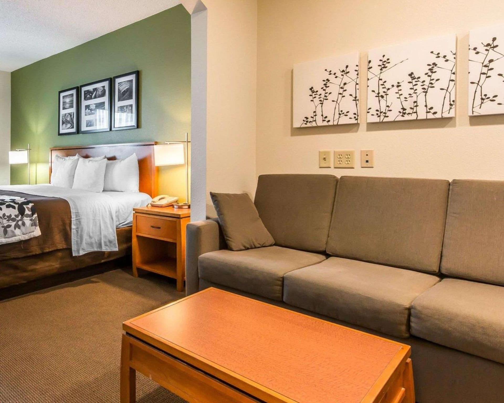 Sleep Inn & Suites Winchester near University gallery photo in Winchester, VA — image 11