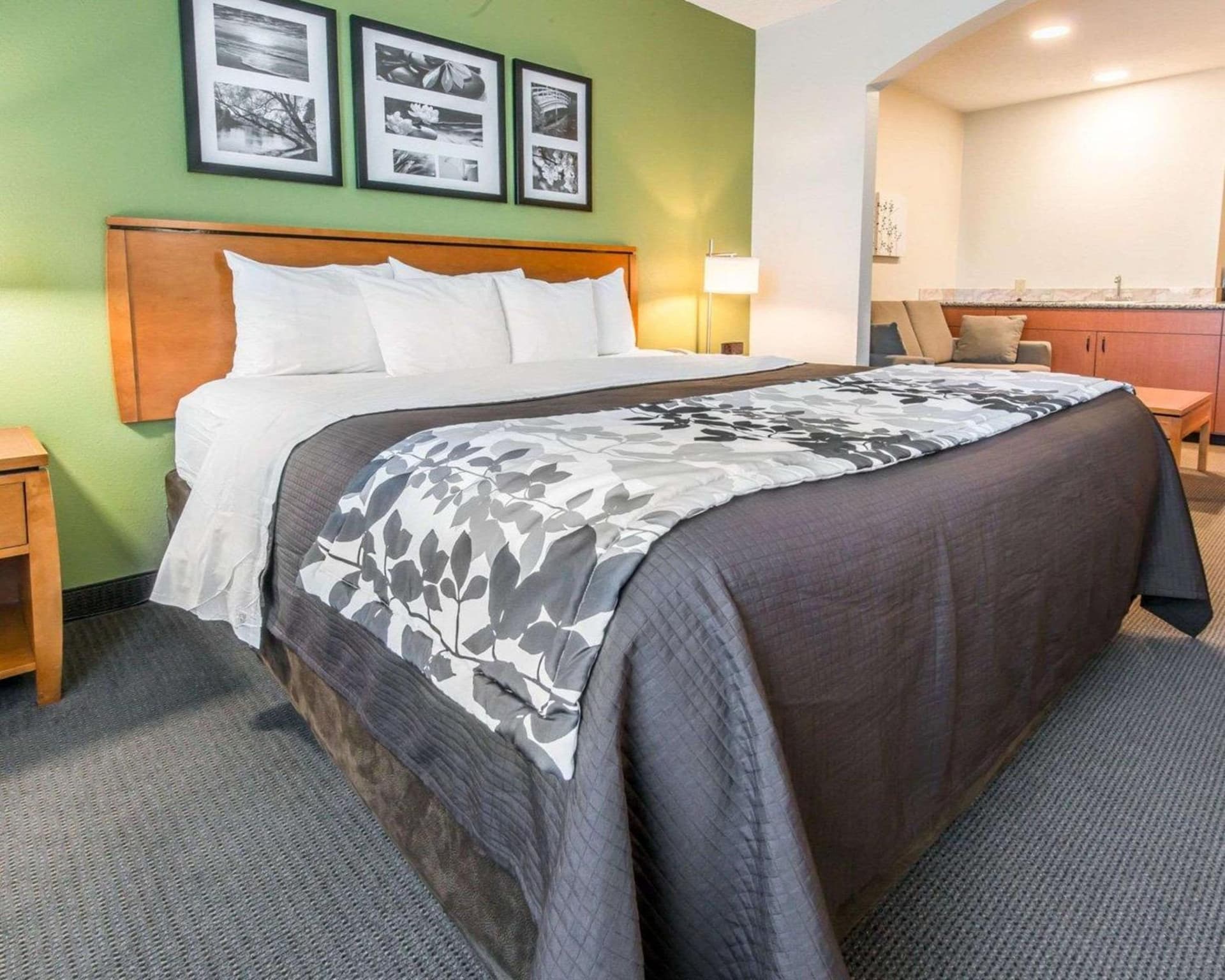 Sleep Inn & Suites Winchester near University gallery photo in Winchester, VA — image 19
