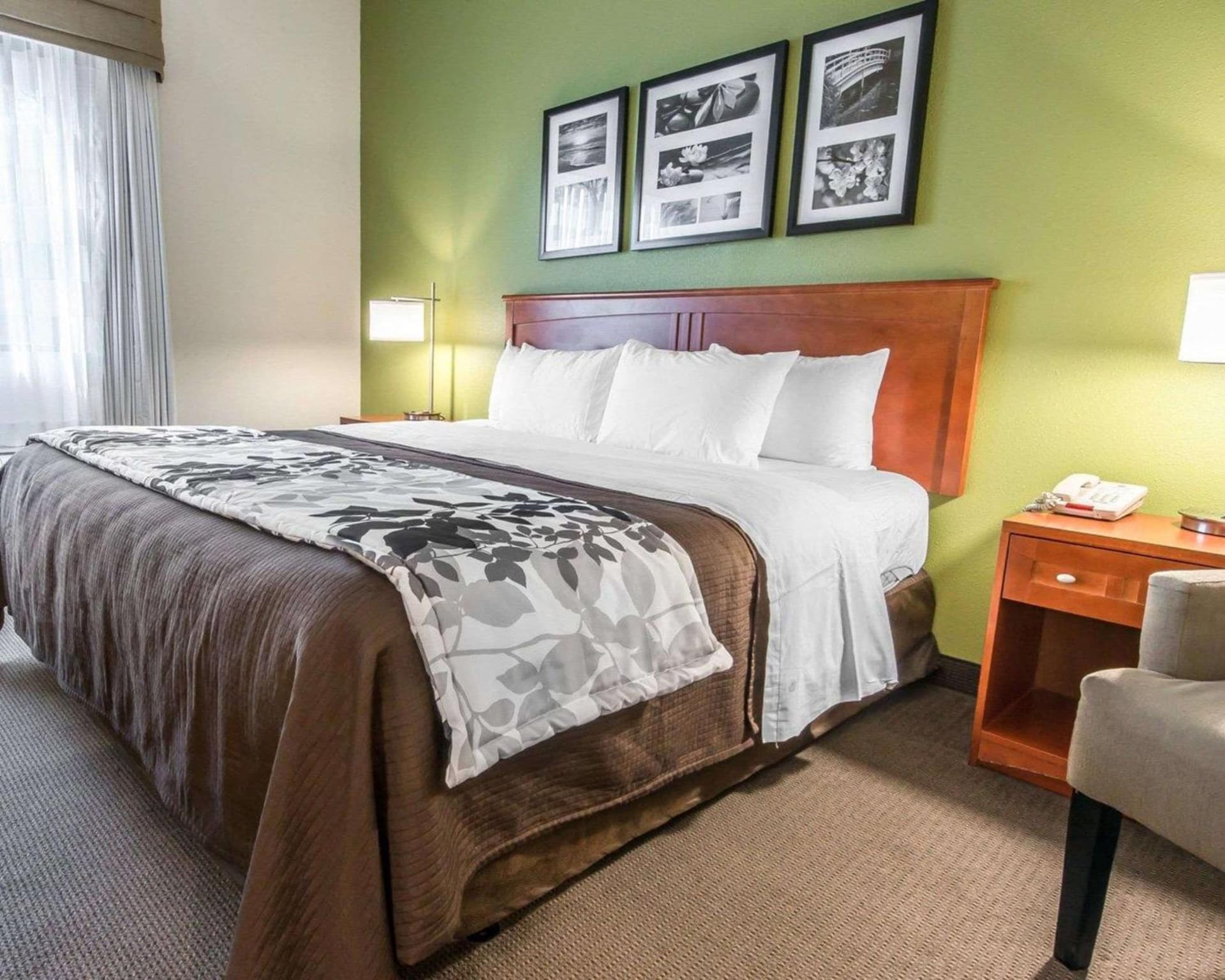 Sleep Inn & Suites Winchester near University gallery photo in Winchester, VA — image 31