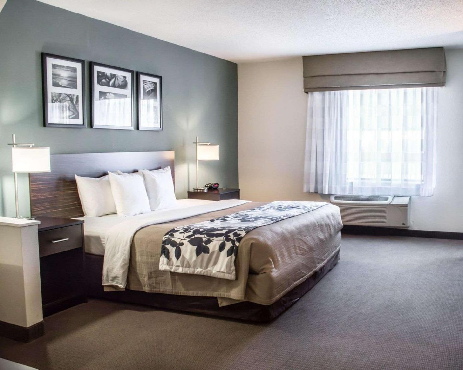 Sleep Inn & Suites Monticello gallery photo in Charlottesville, VA — image 30