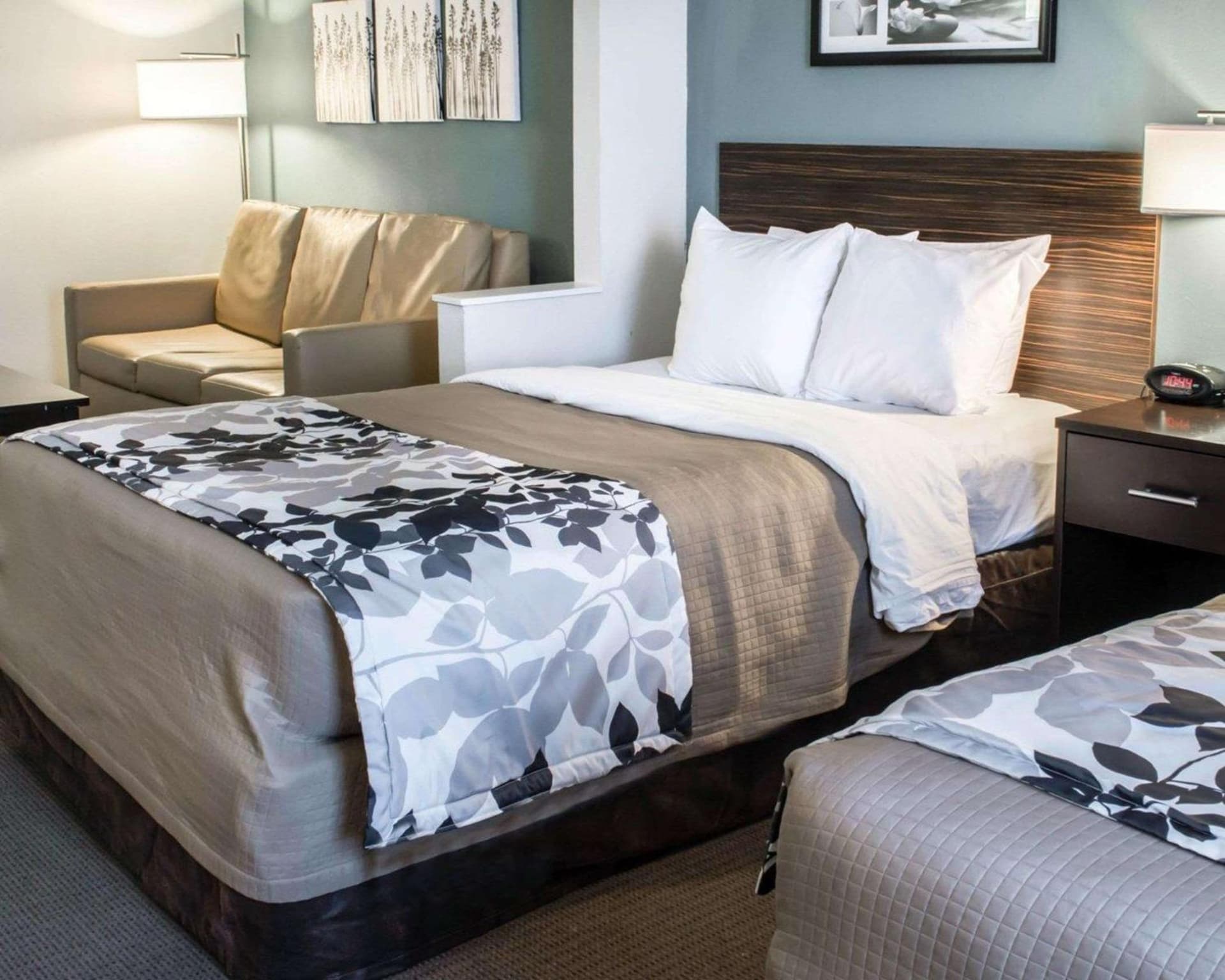 Sleep Inn & Suites Monticello gallery photo in Charlottesville, VA — image 32