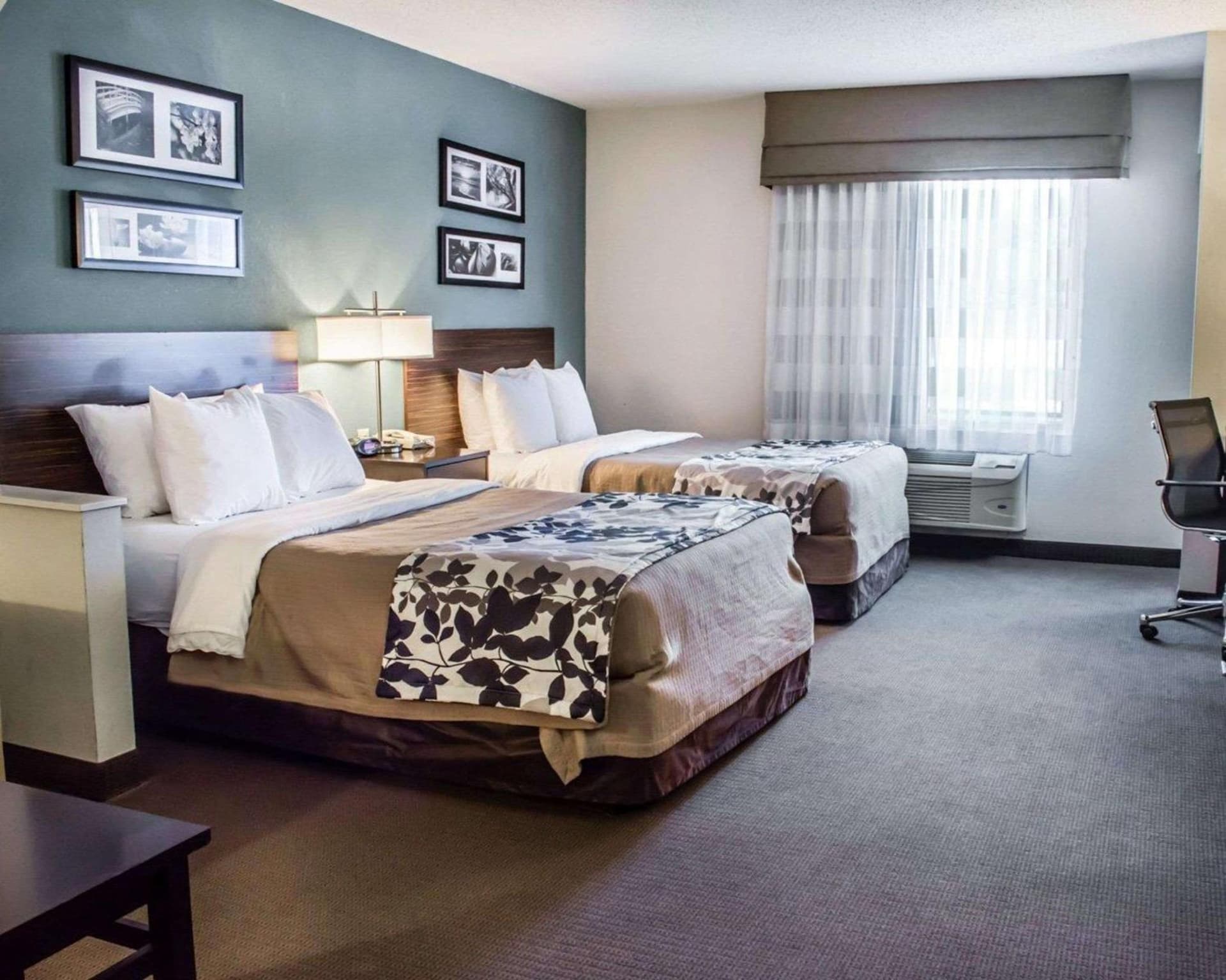 Sleep Inn & Suites Monticello gallery photo in Charlottesville, VA — image 24