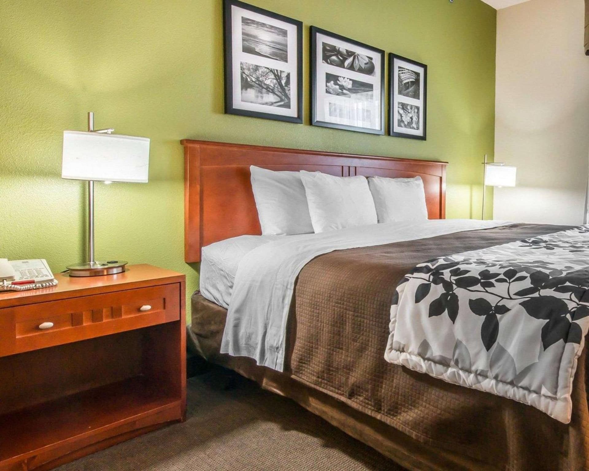 Sleep Inn & Suites Winchester near University gallery photo in Winchester, VA — image 8