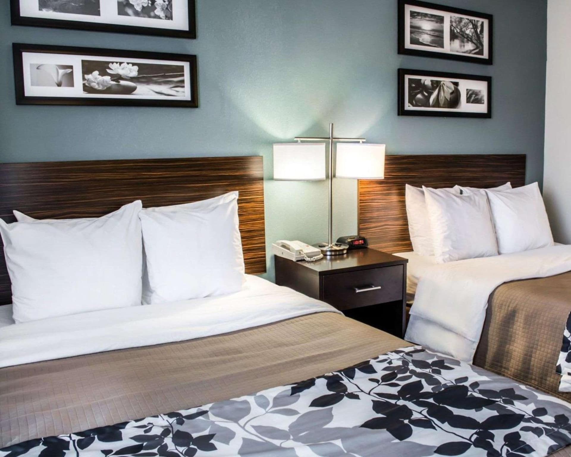 Sleep Inn & Suites Monticello gallery photo in Charlottesville, VA — image 43