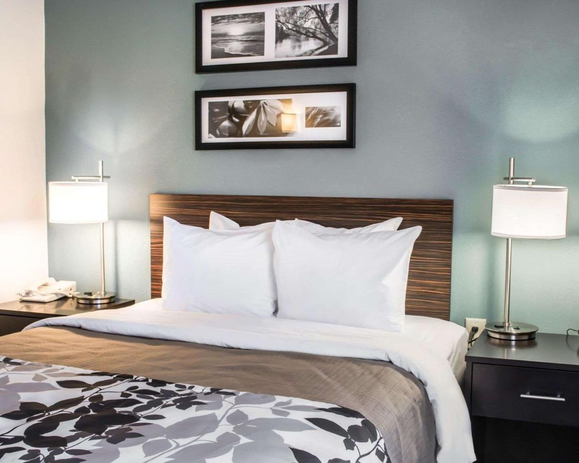 Sleep Inn & Suites Monticello gallery photo in Charlottesville, VA — image 28