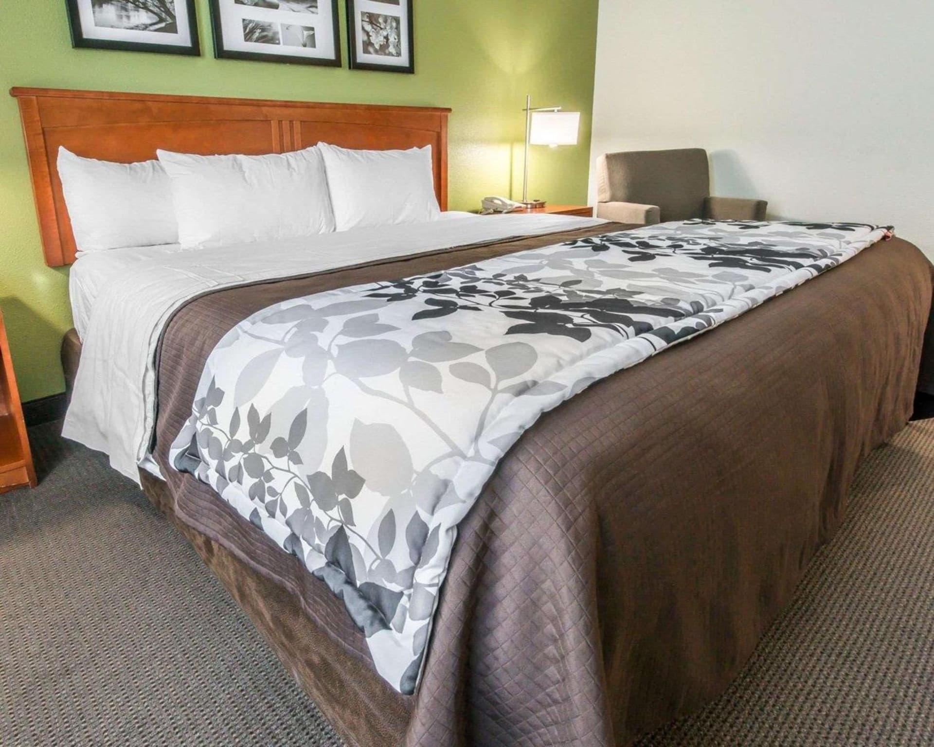 Sleep Inn & Suites Winchester near University gallery photo in Winchester, VA — image 10