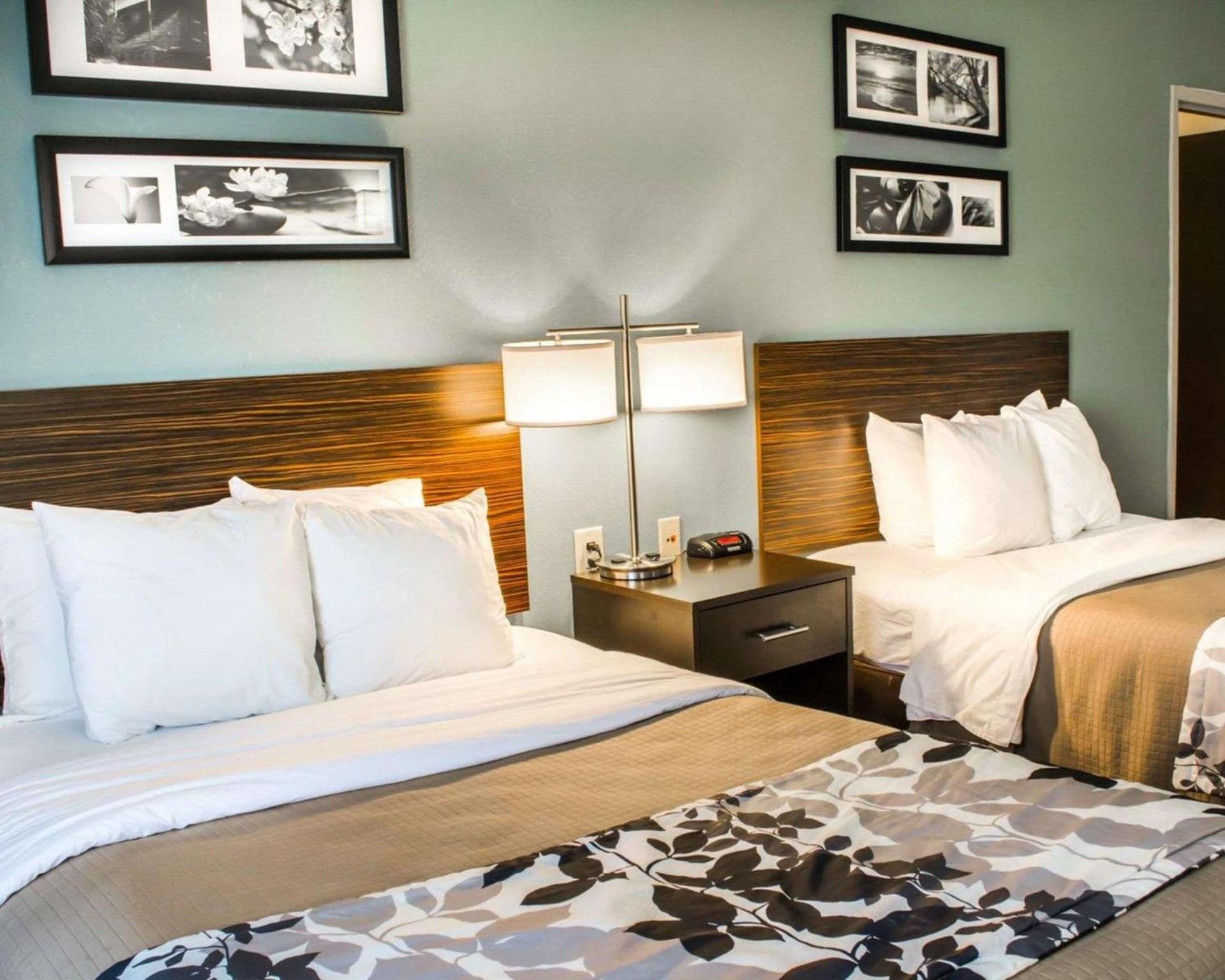 Sleep Inn & Suites Monticello gallery photo in Charlottesville, VA — image 42