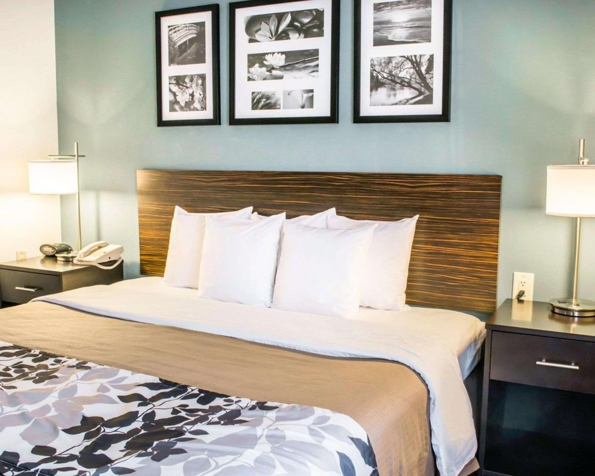 Sleep Inn & Suites Monticello gallery photo in Charlottesville, VA — image 12