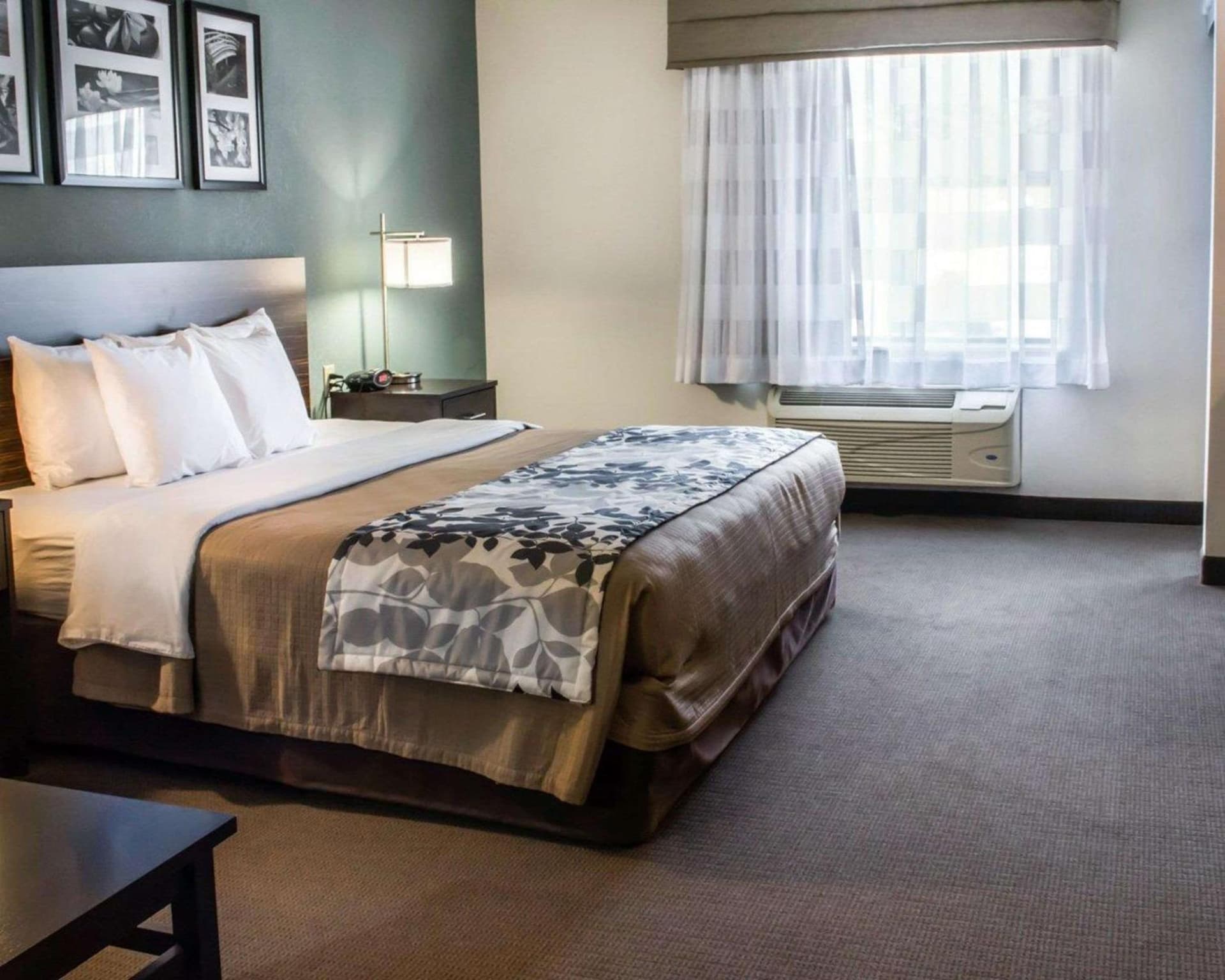 Sleep Inn & Suites Monticello gallery photo in Charlottesville, VA — image 9